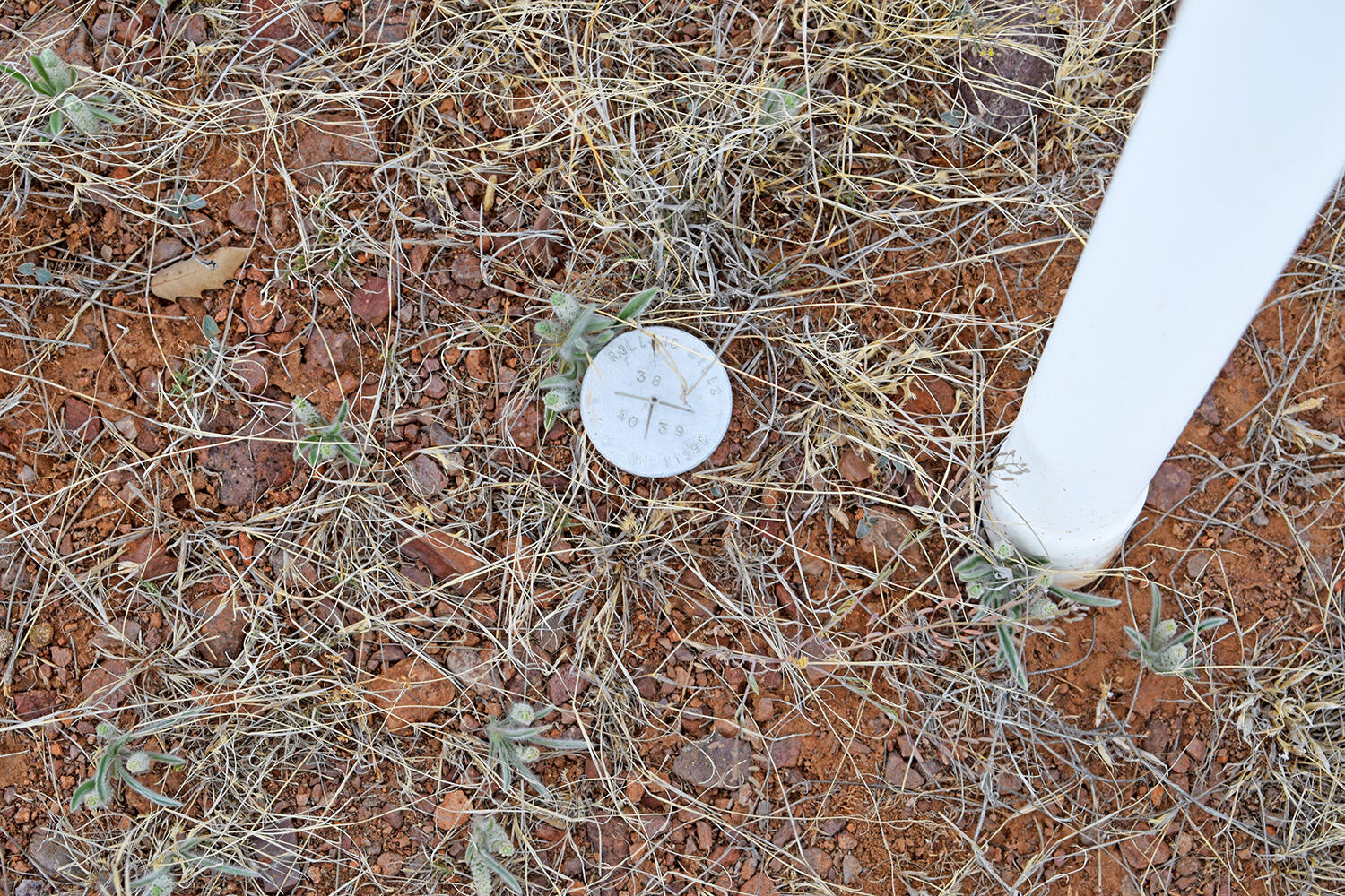 Photo 14 — Lot 40 Sunset Vista Road