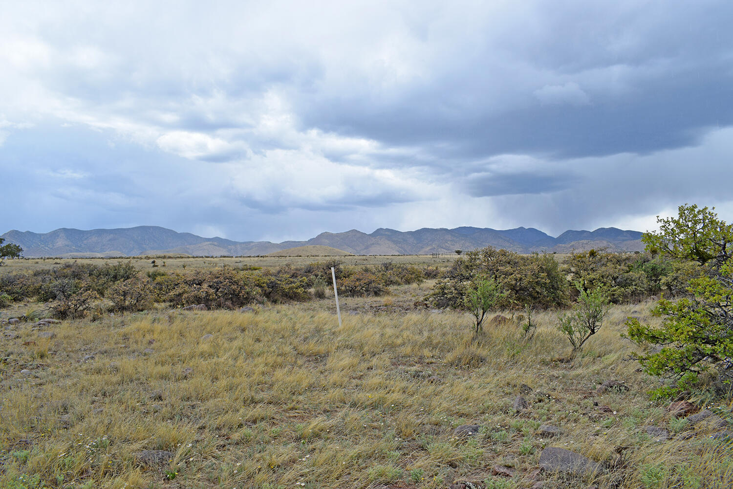 Photo 8 — Lot 40 Sunset Vista Road