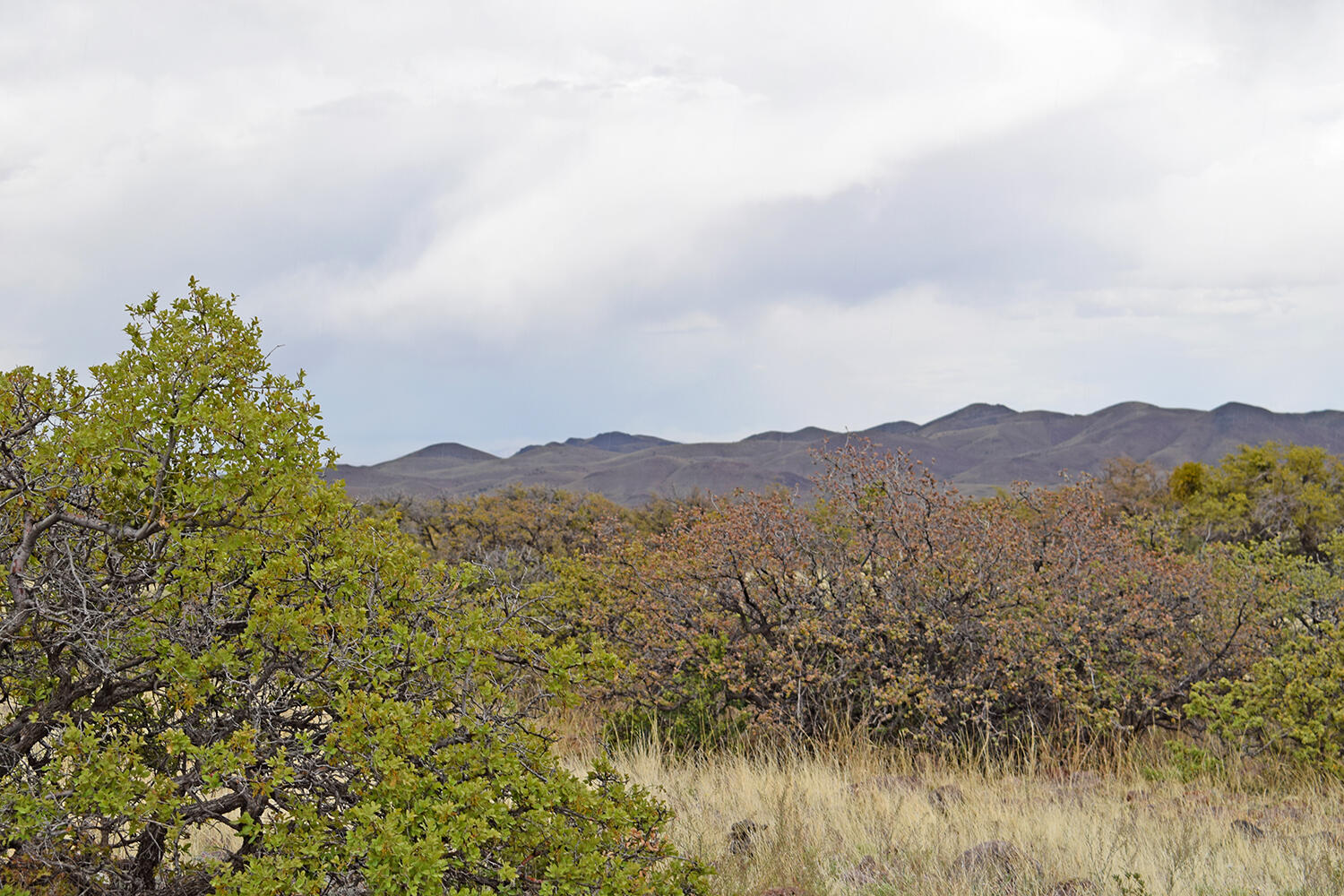 Photo 6 — Lot 40 Sunset Vista Road