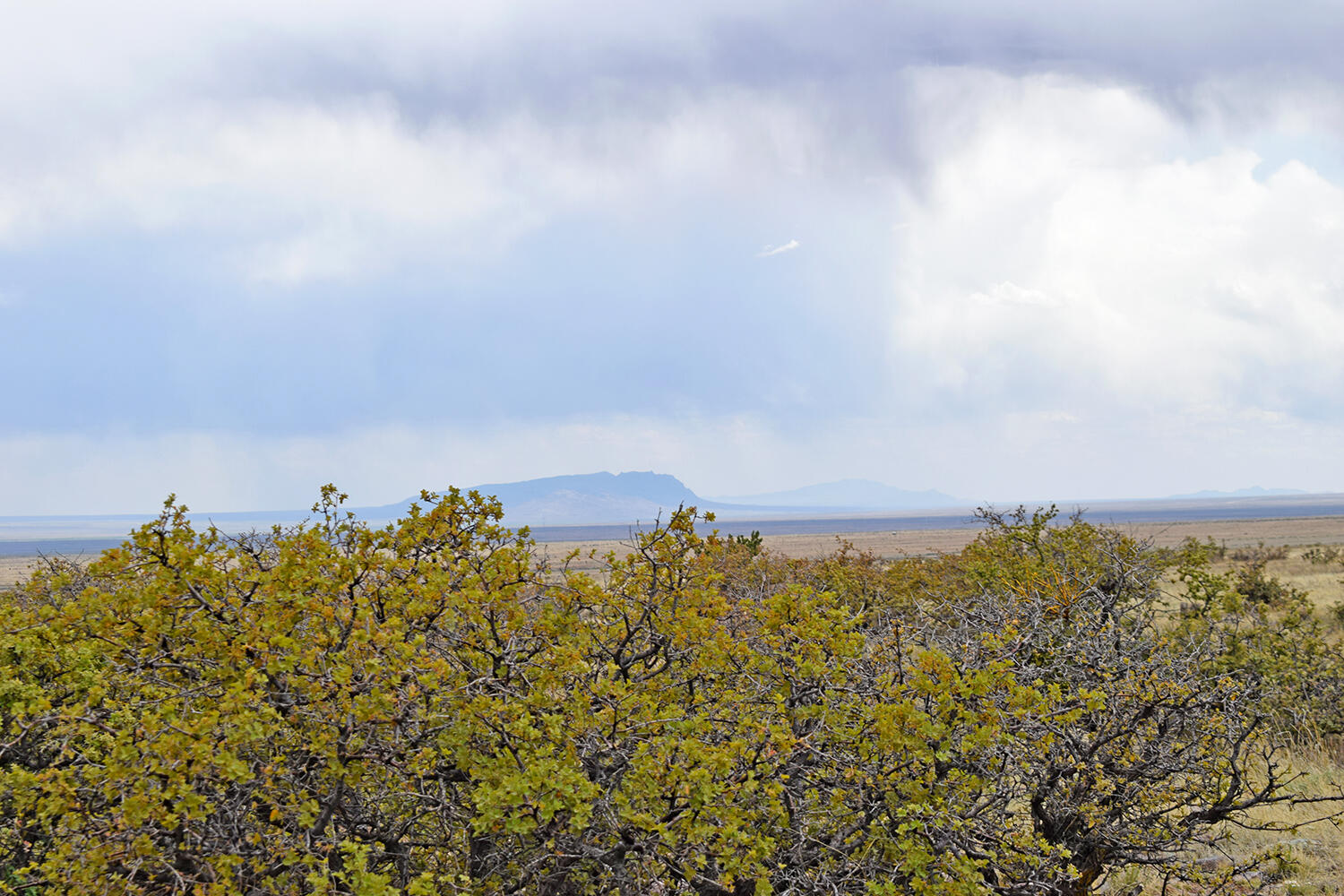 Photo 4 — Lot 40 Sunset Vista Road