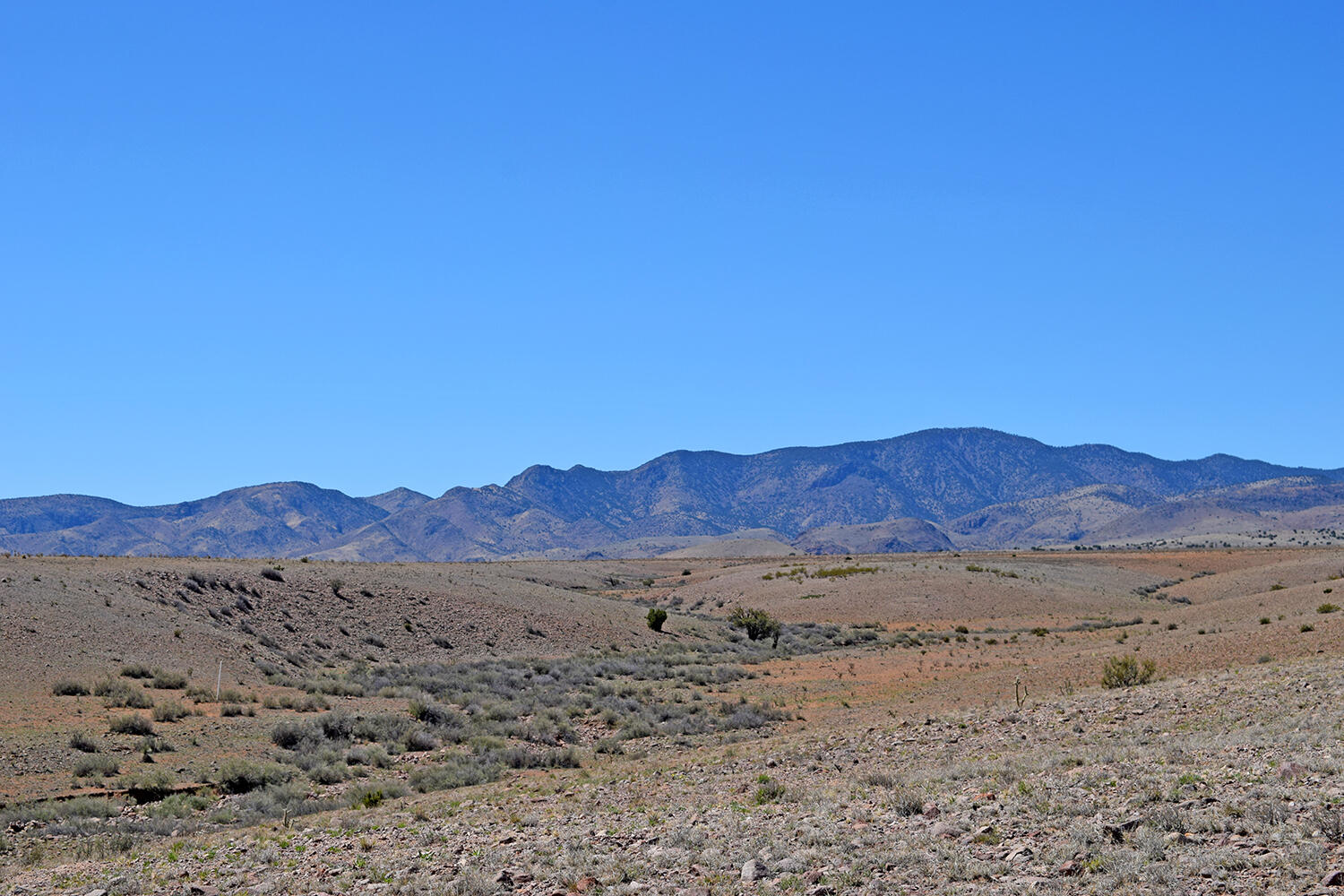 Photo 18 — Lot 11 Prong Horn Road