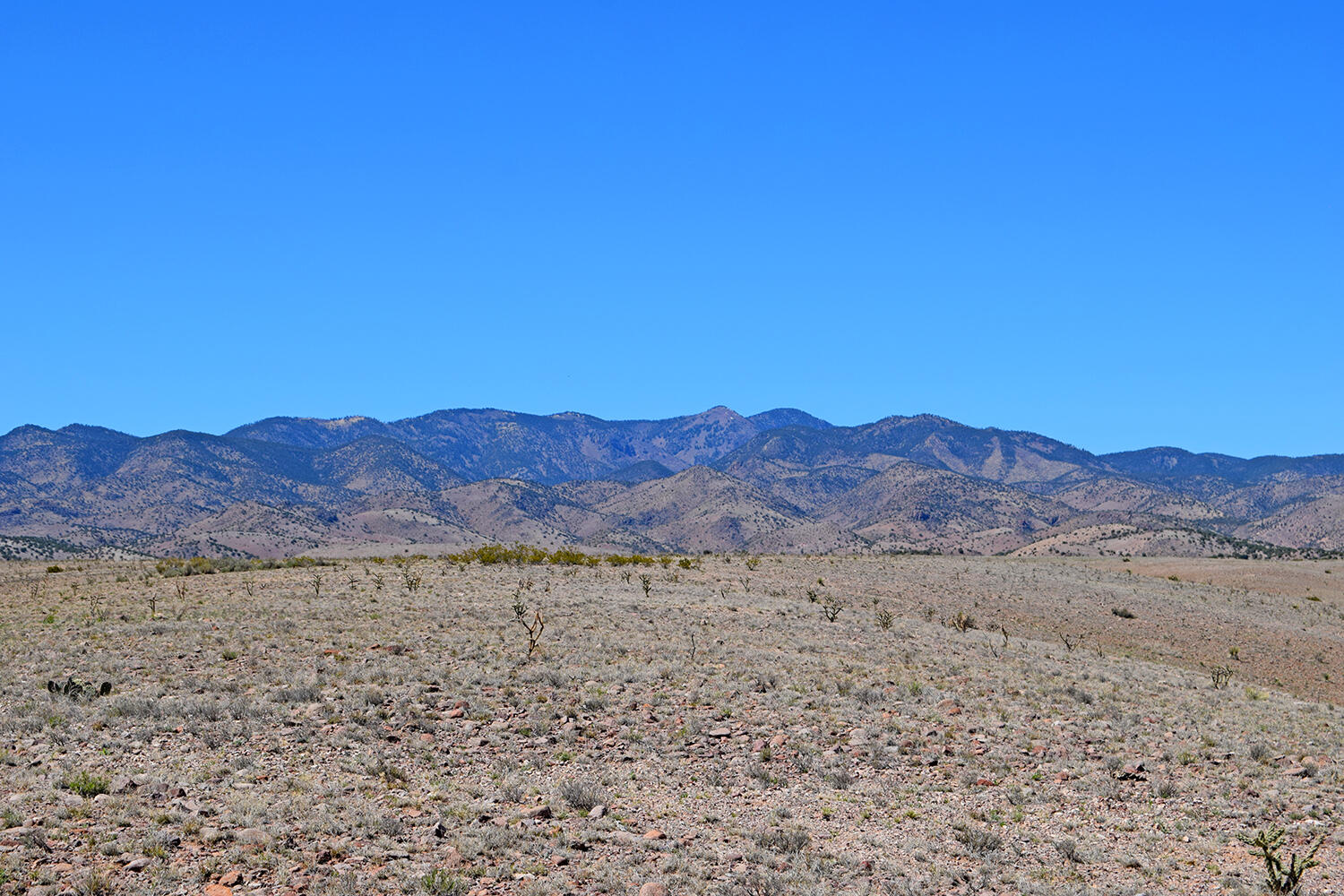 Photo 17 — Lot 11 Prong Horn Road