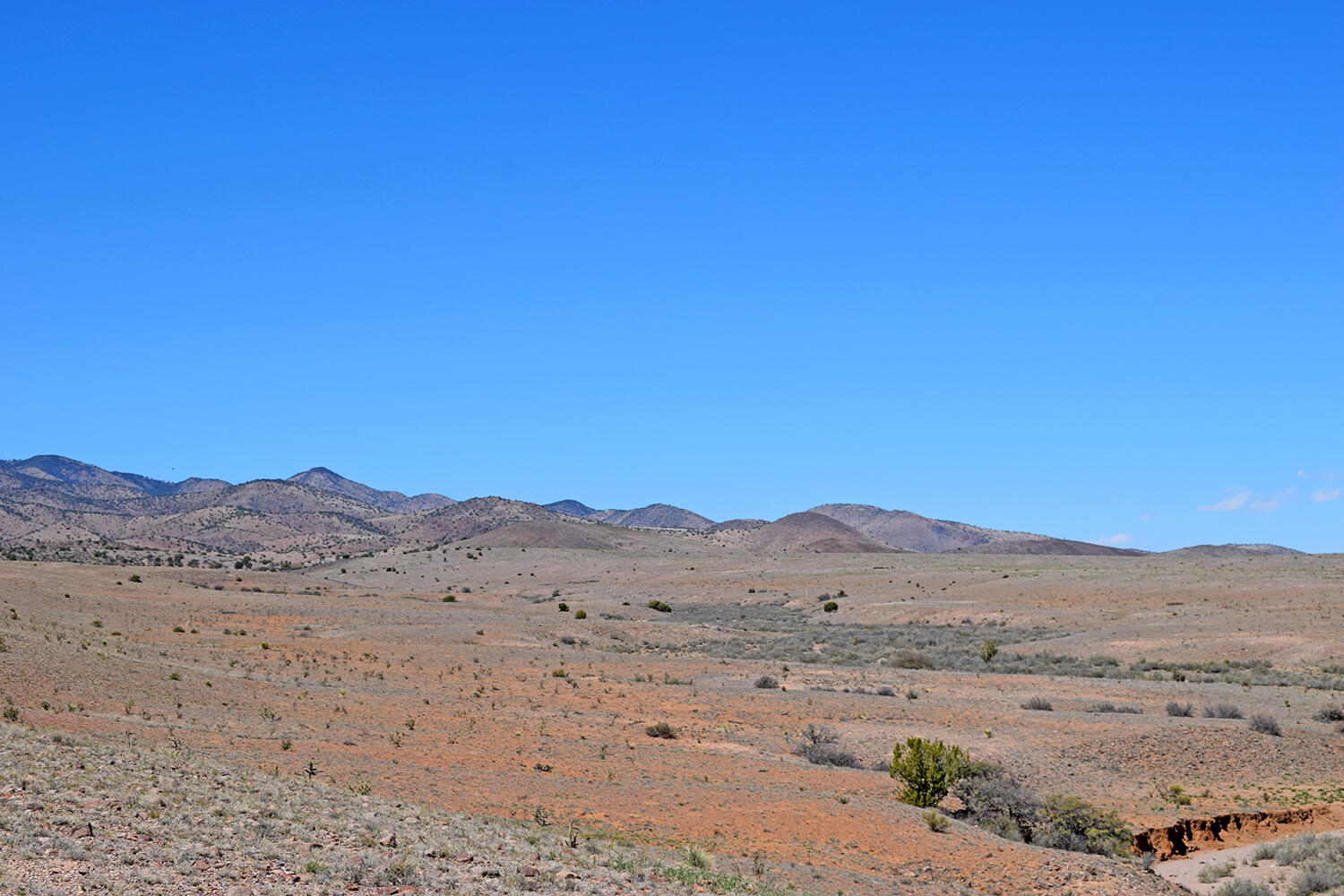Photo 16 — Lot 11 Prong Horn Road
