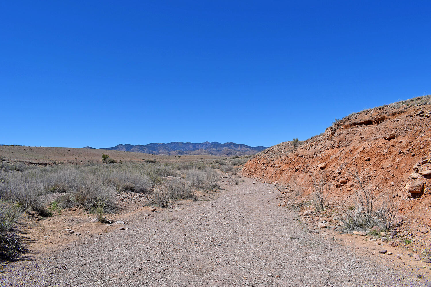 Photo 7 — Lot 11 Prong Horn Road