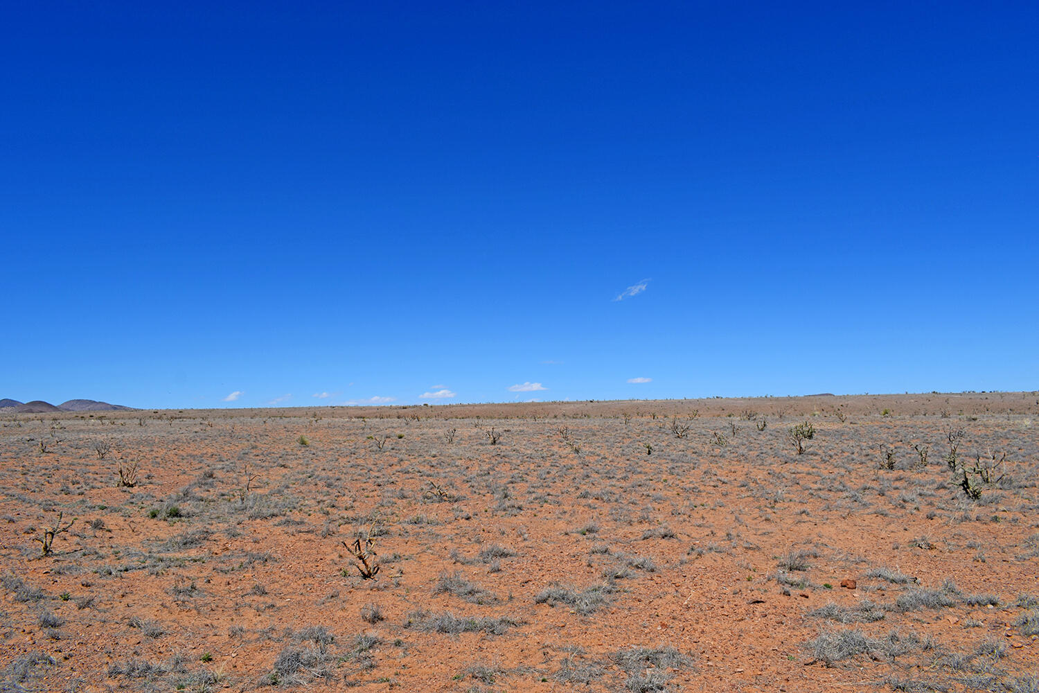 Photo 4 — Lot 11 Prong Horn Road