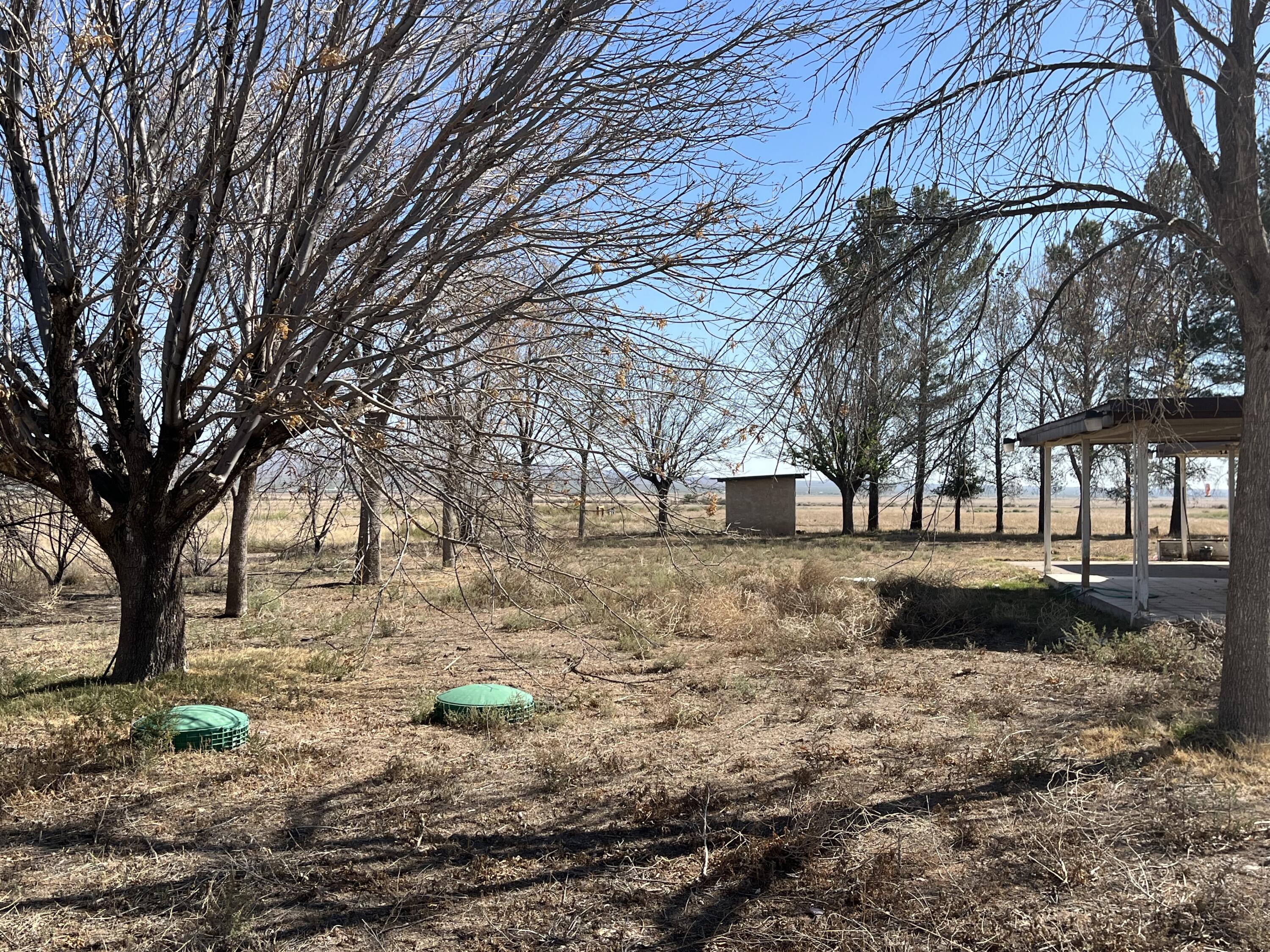 Photo 8 — 53 Nina Road