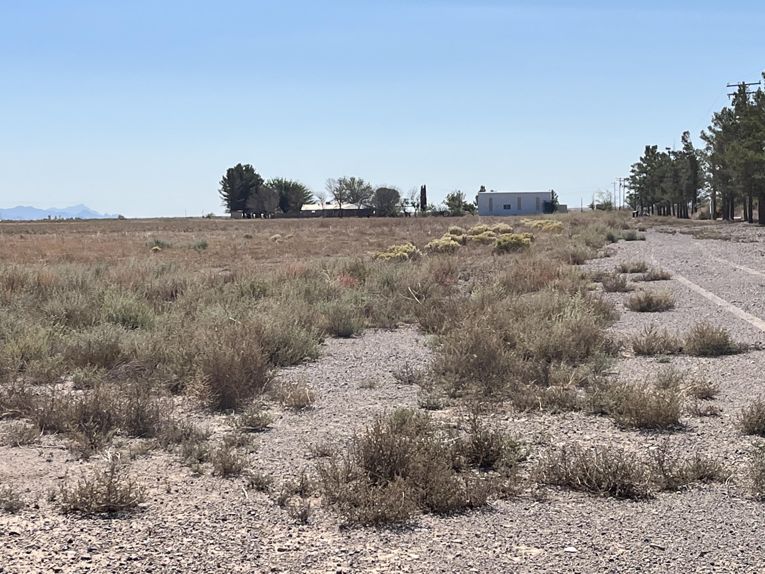 Photo 17 — 53 Nina Road