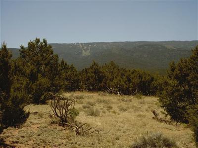 Photo 2 — 5 LUNA AZUL