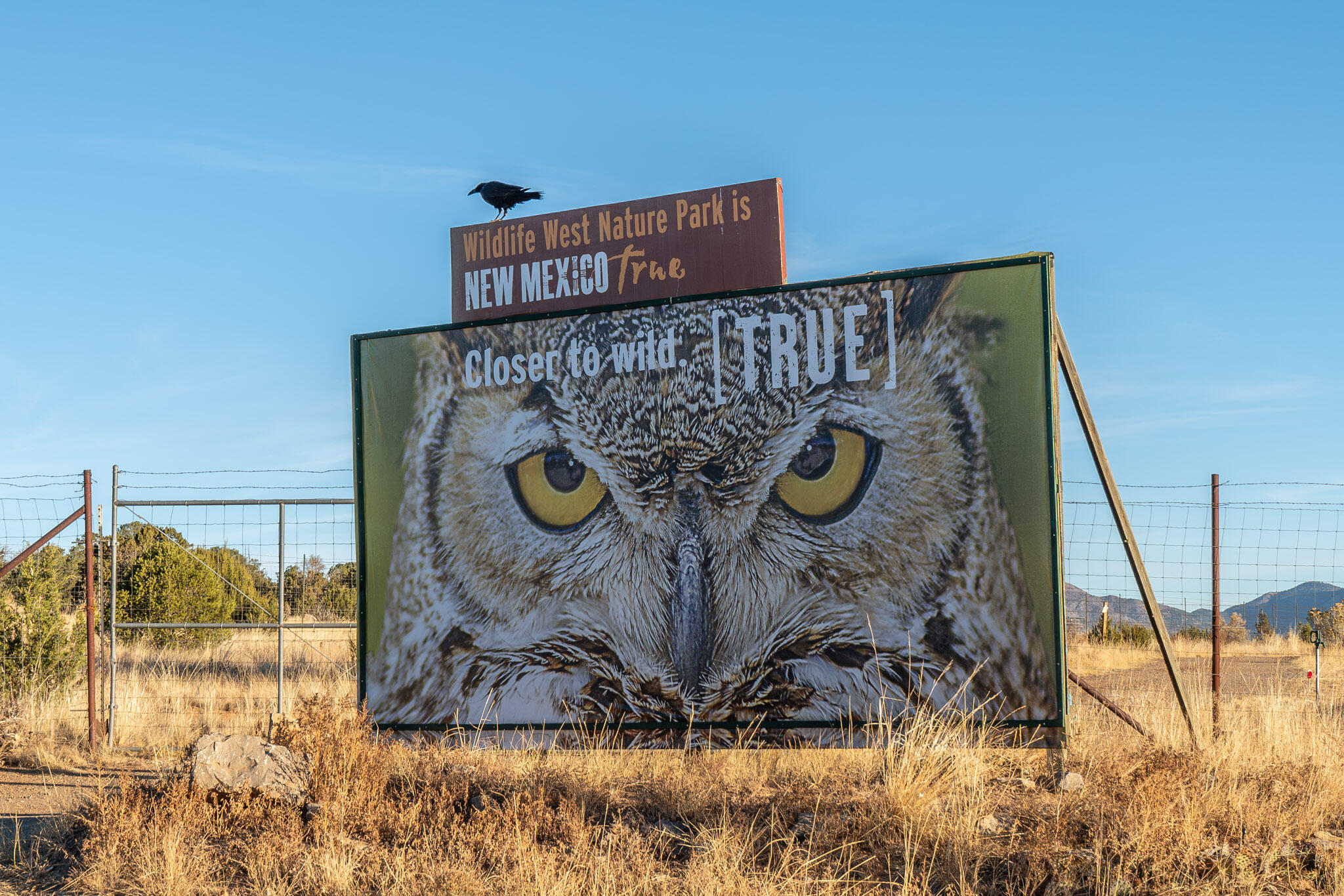 Photo 2 — 87 N Frontage Road