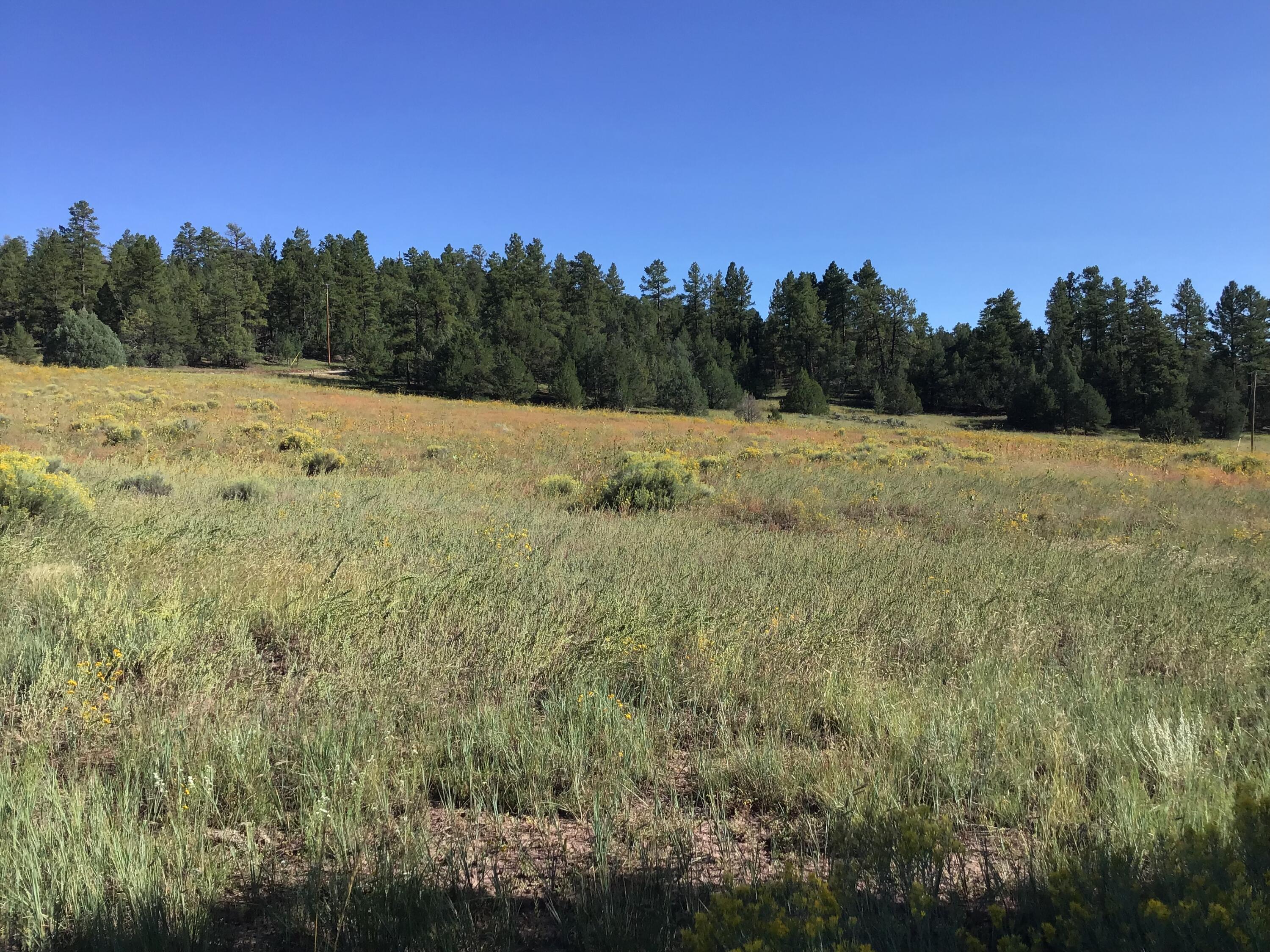 Photo 19 — Lot 14 E Elk Drive