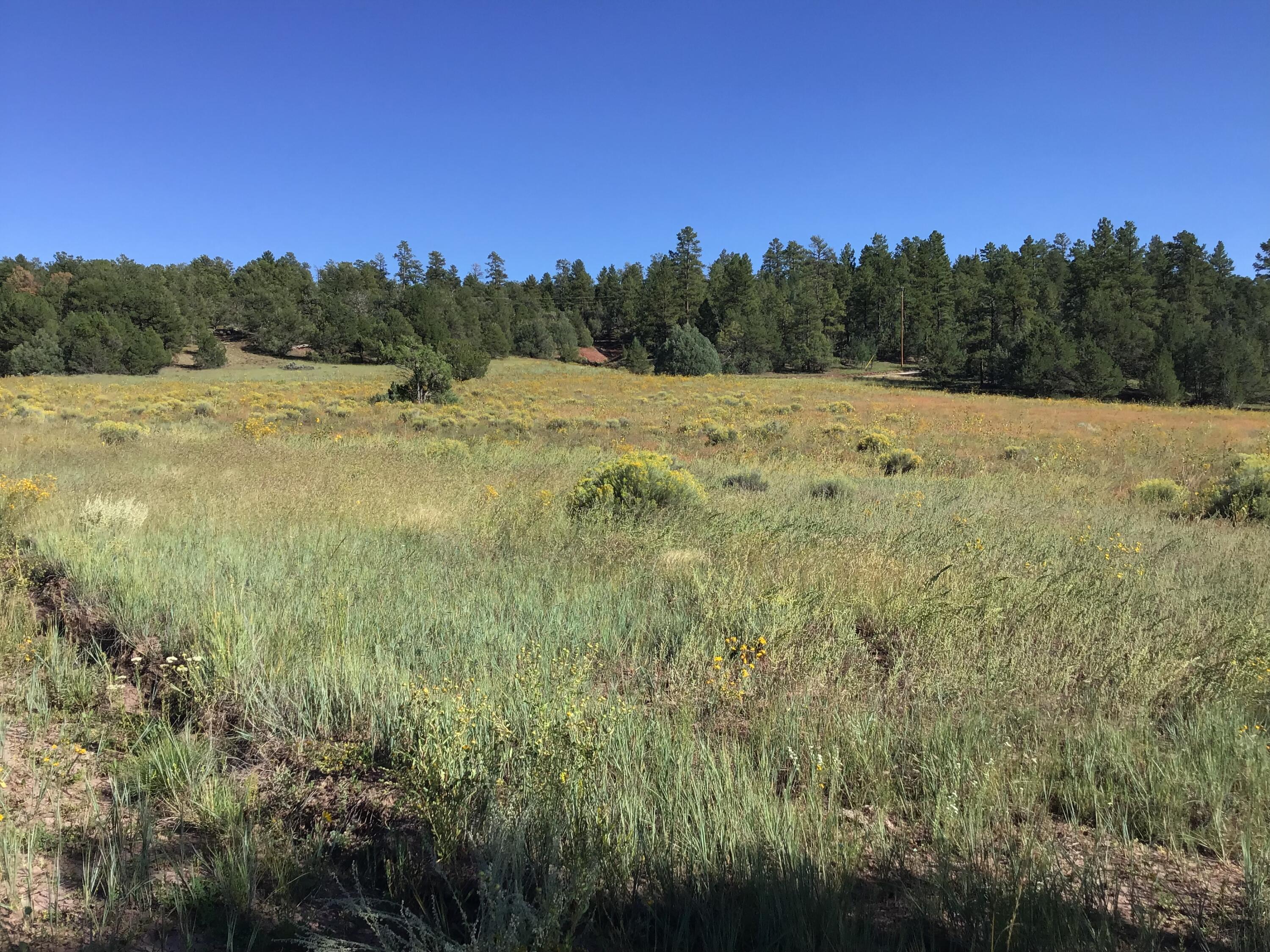 Photo 20 — Lot 14 E Elk Drive
