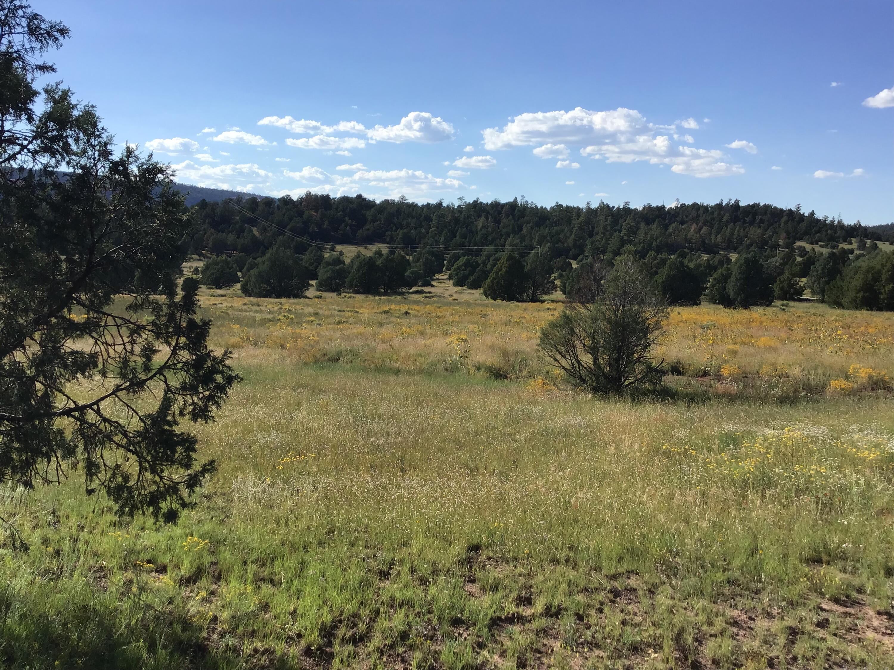Photo 3 — Lot 14 E Elk Drive