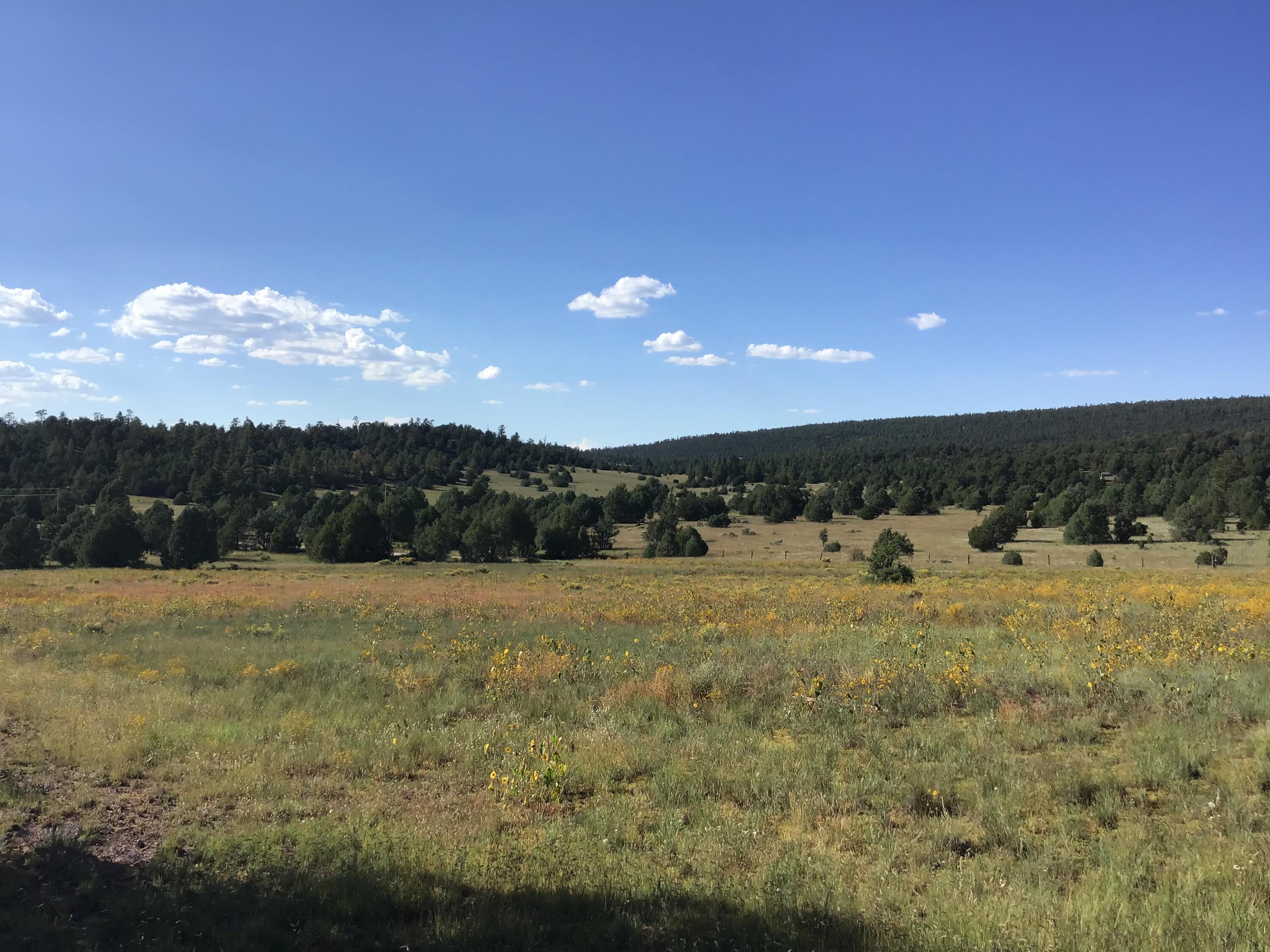 Photo 6 — Lot 14 E Elk Drive