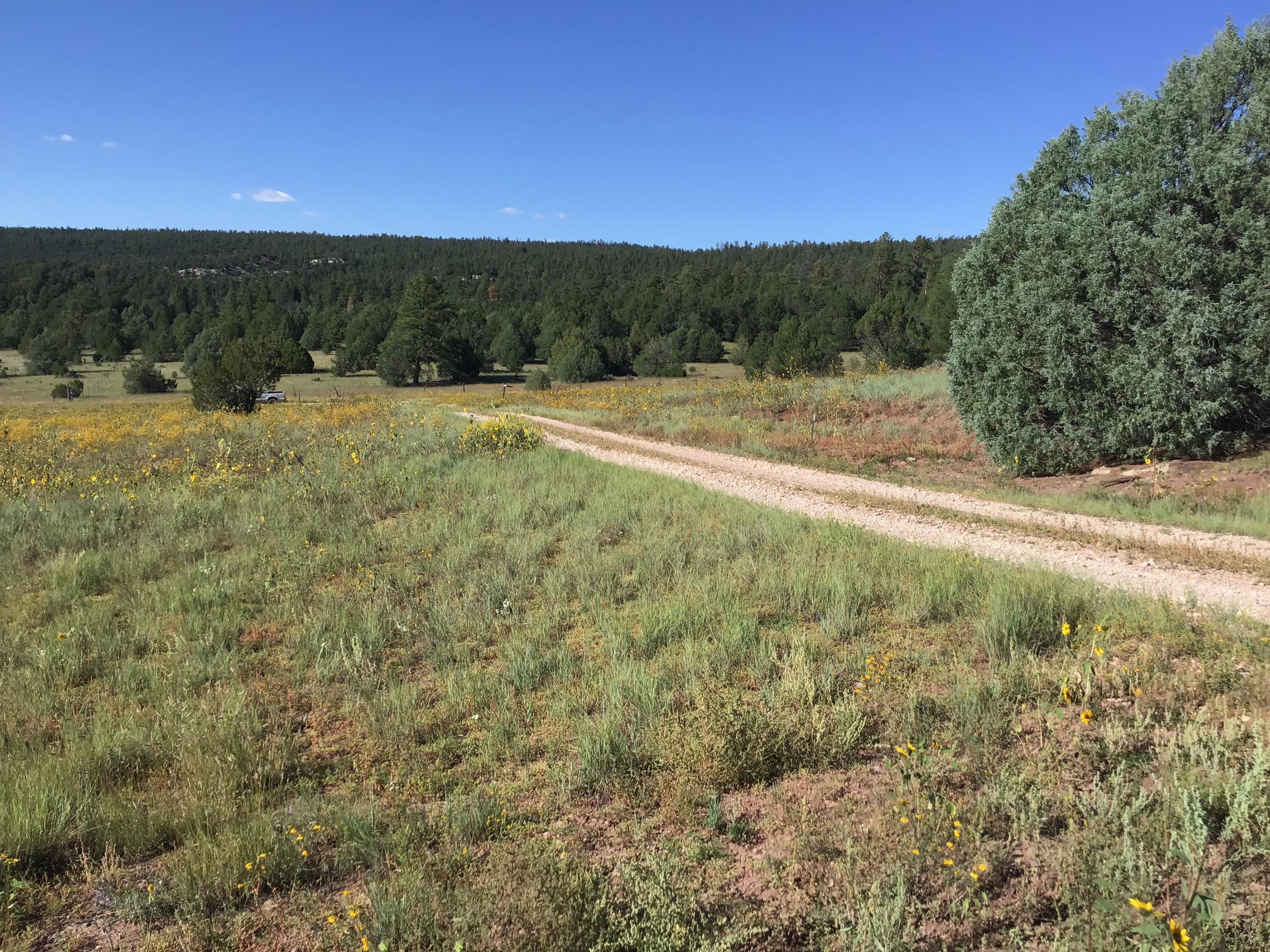 Photo 7 — Lot 14 E Elk Drive