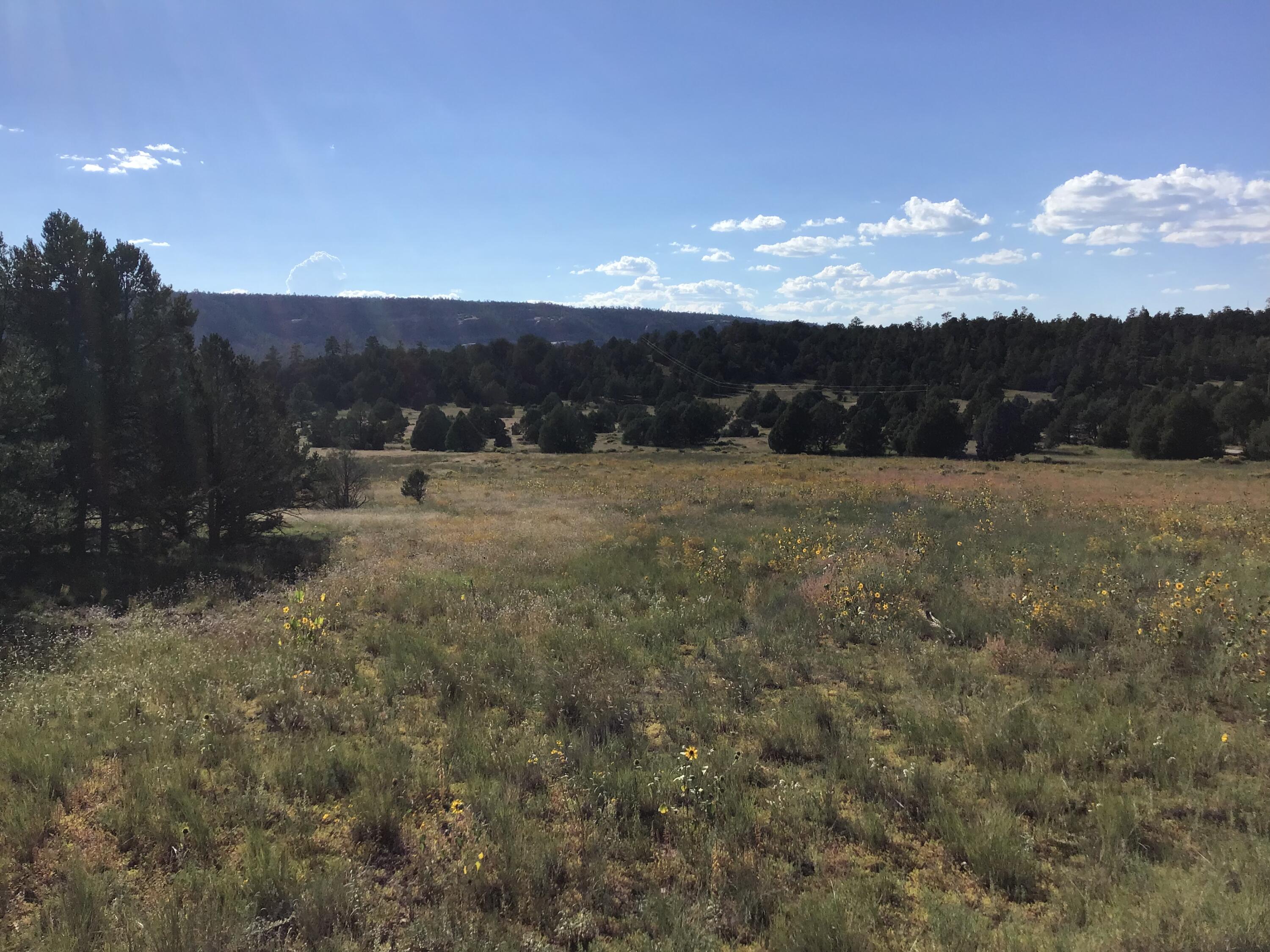 Photo 8 — Lot 14 E Elk Drive