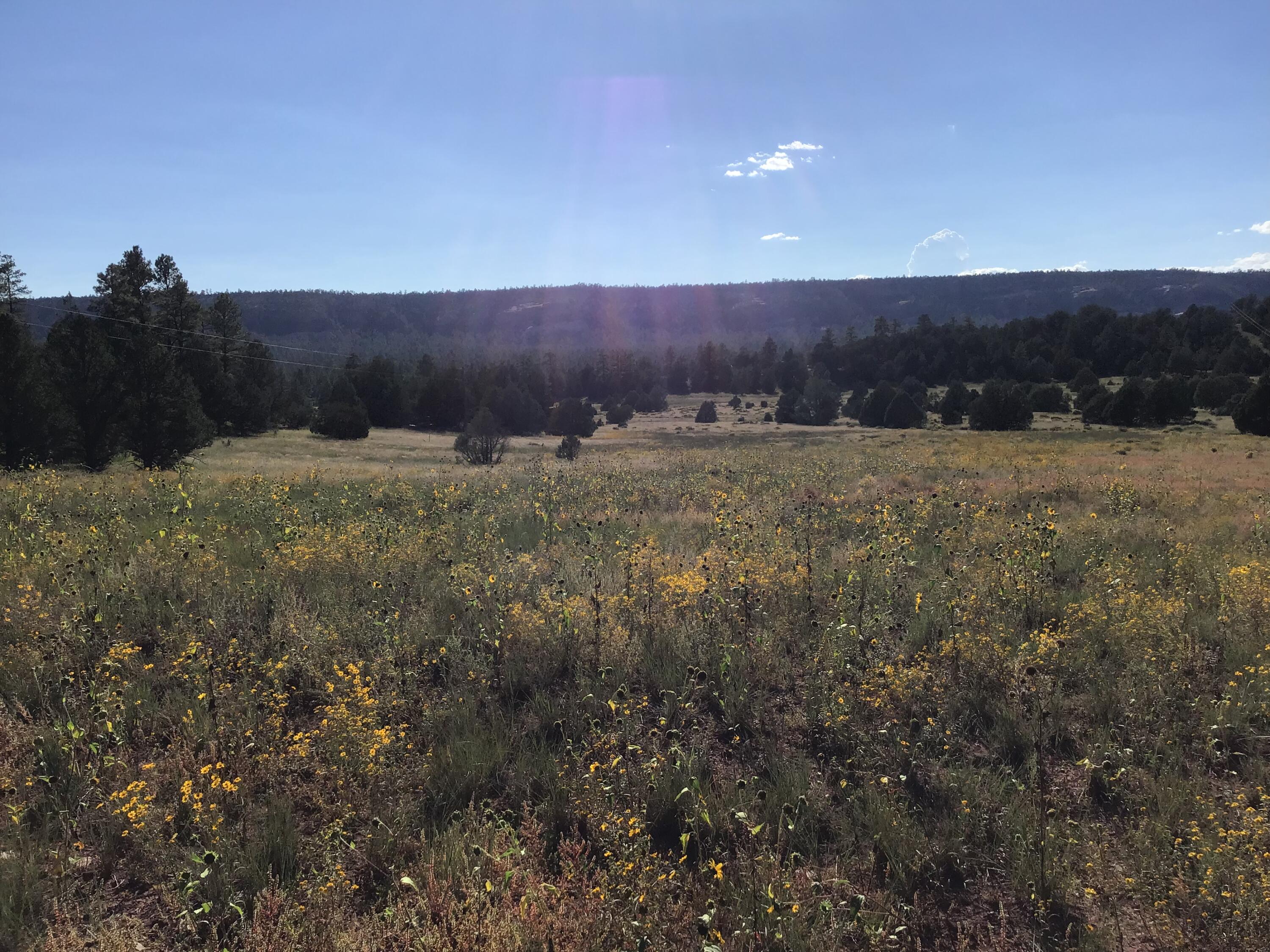 Photo 9 — Lot 14 E Elk Drive