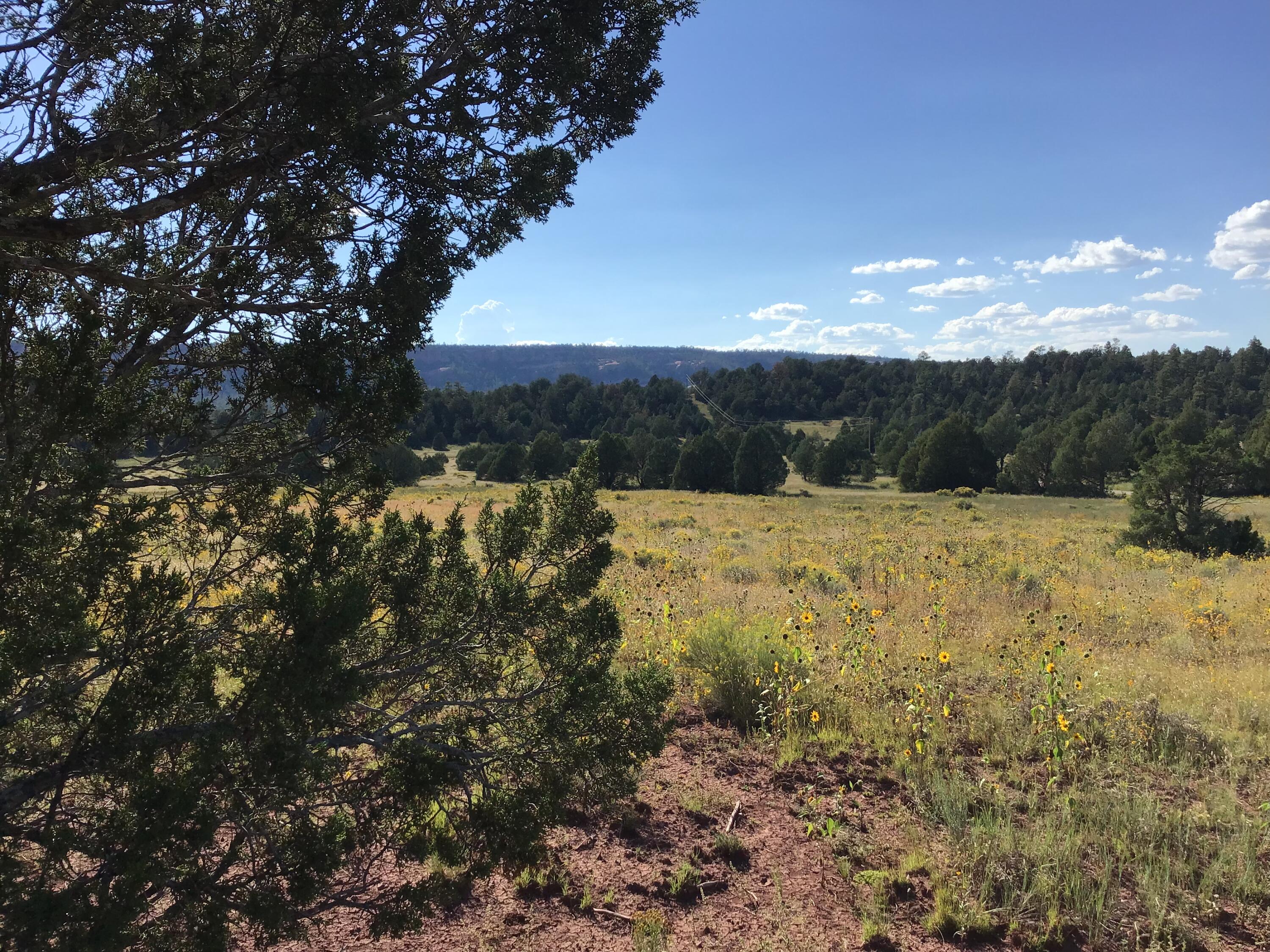 Photo 10 — Lot 14 E Elk Drive