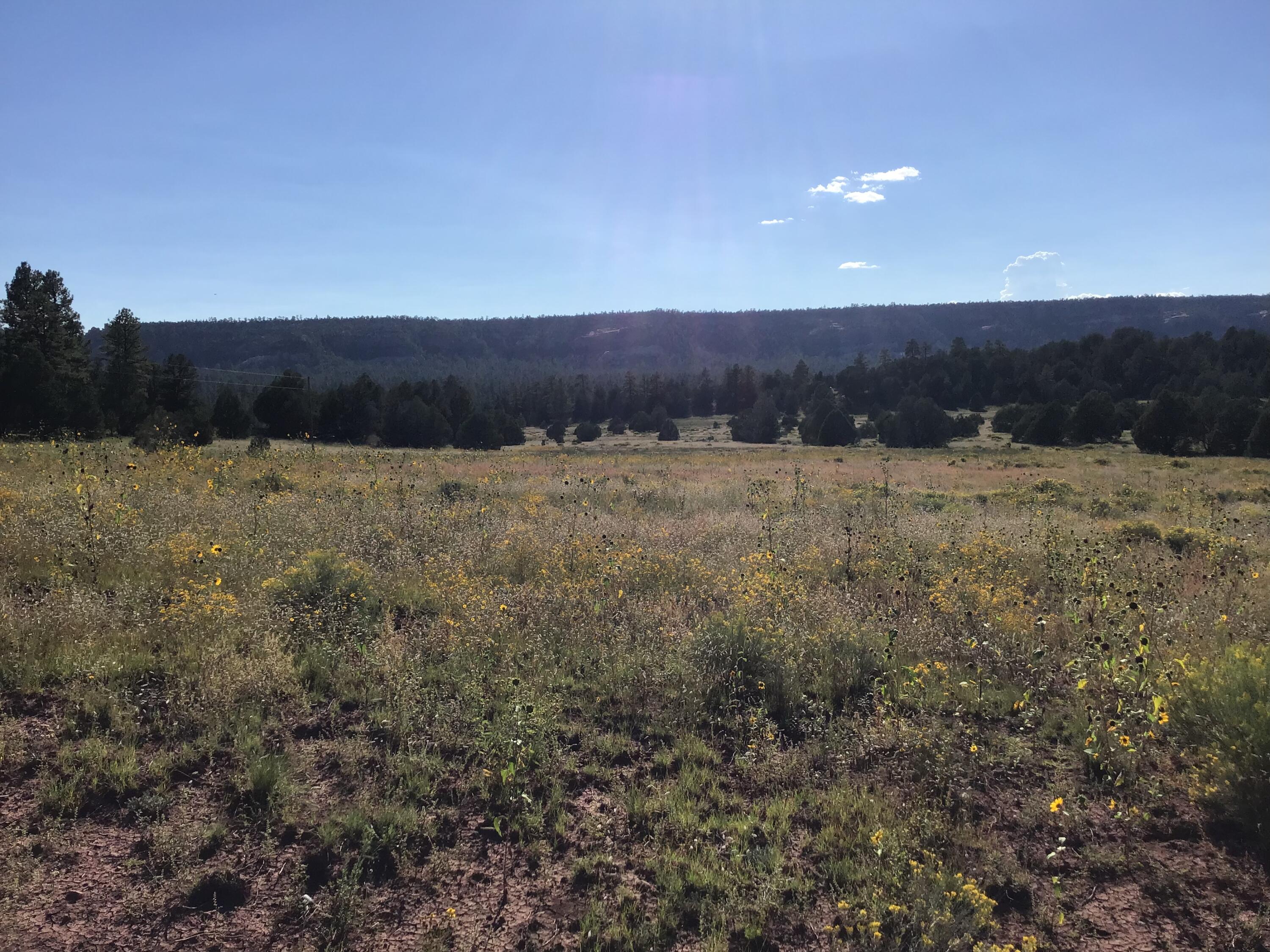 Photo 12 — Lot 14 E Elk Drive