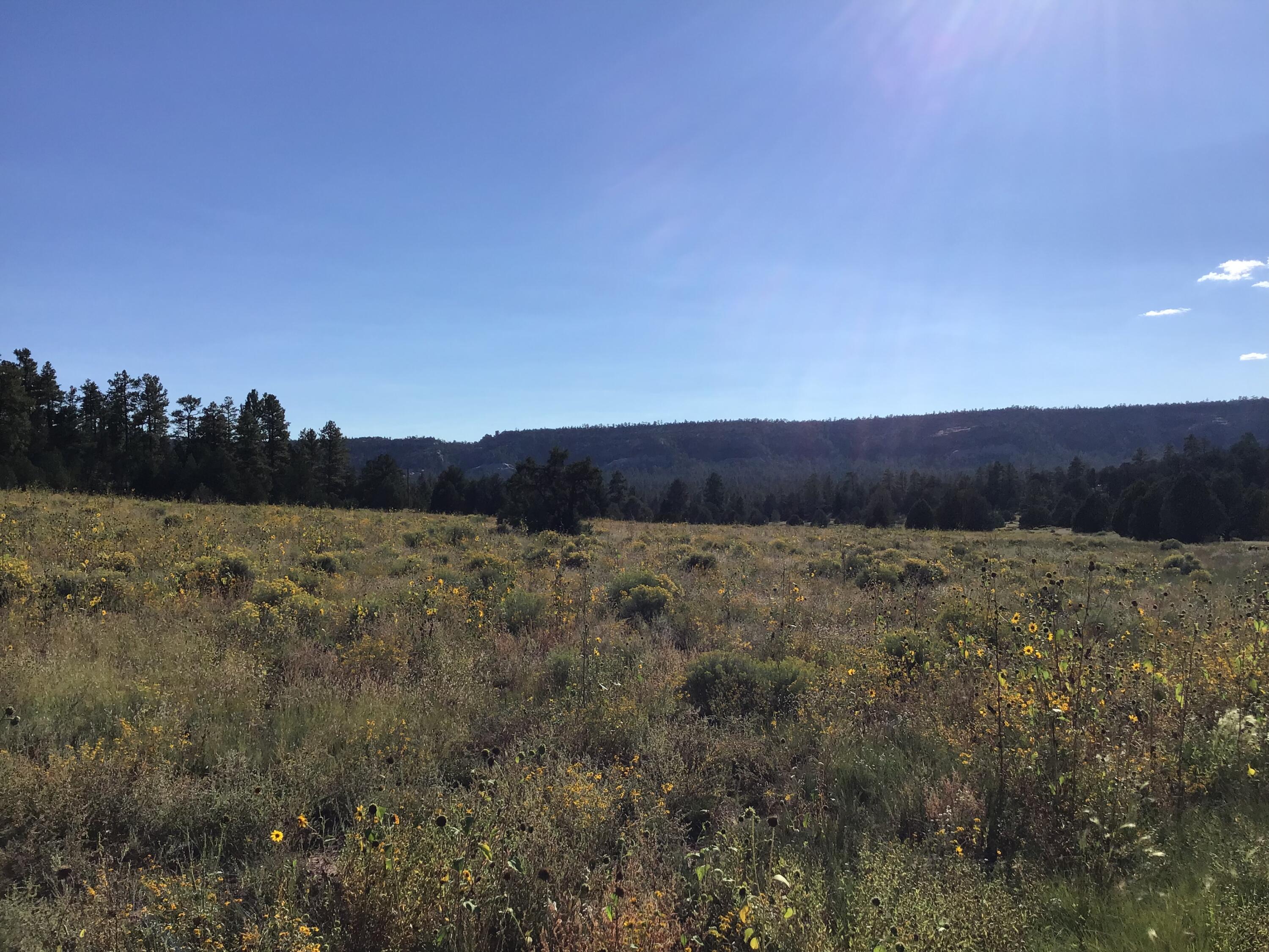 Photo 13 — Lot 14 E Elk Drive