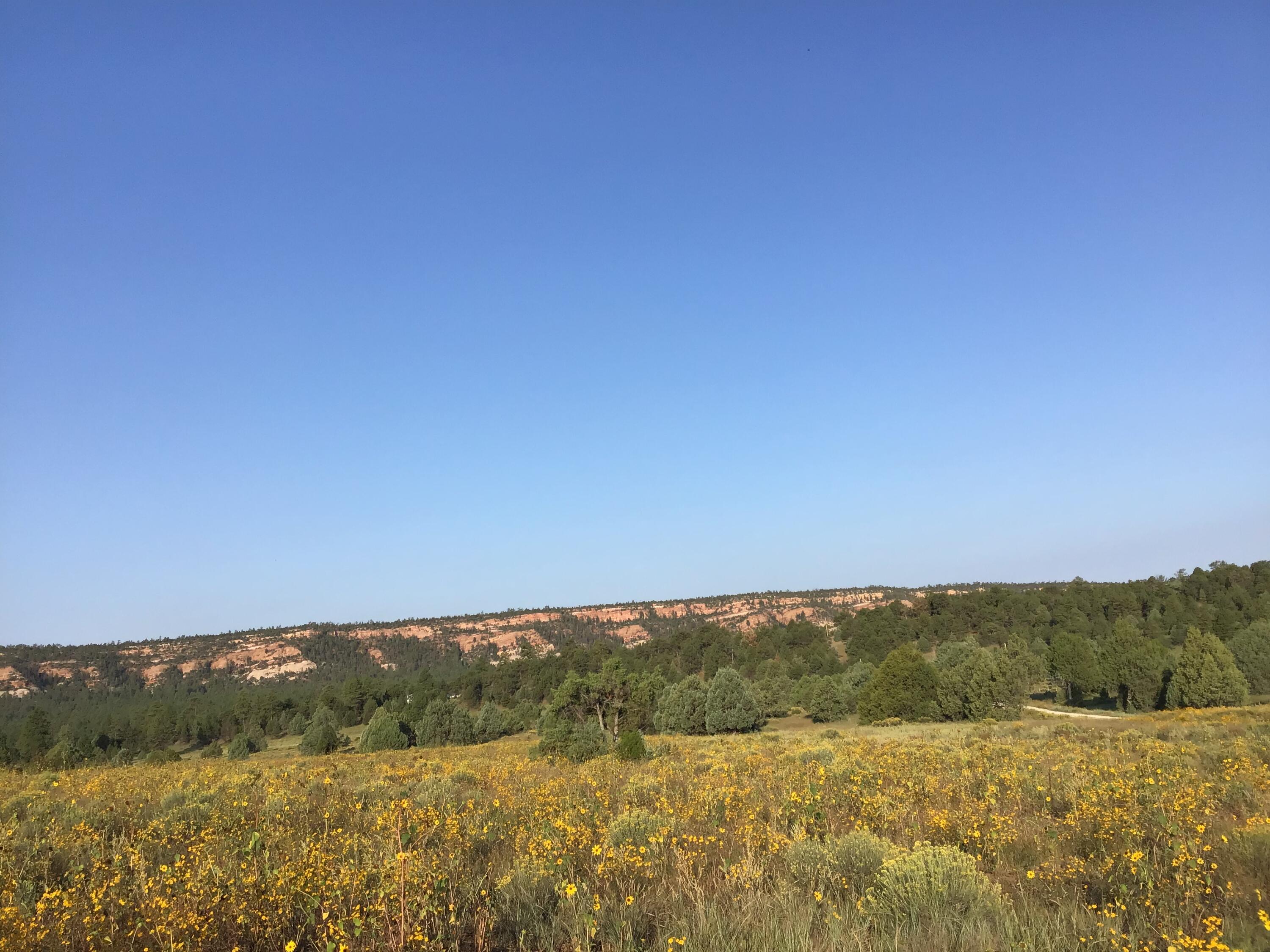 Photo 15 — Lot 14 E Elk Drive