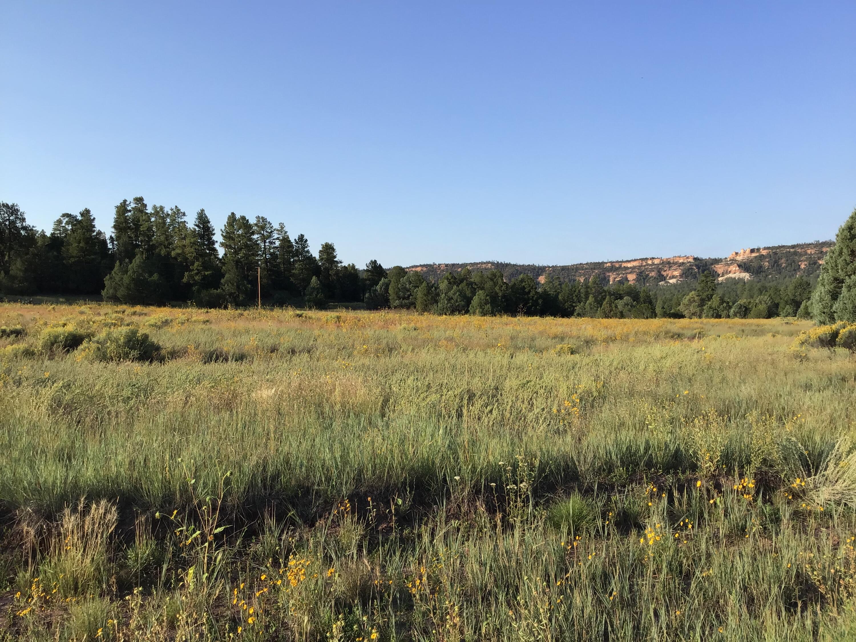 Photo 17 — Lot 14 E Elk Drive