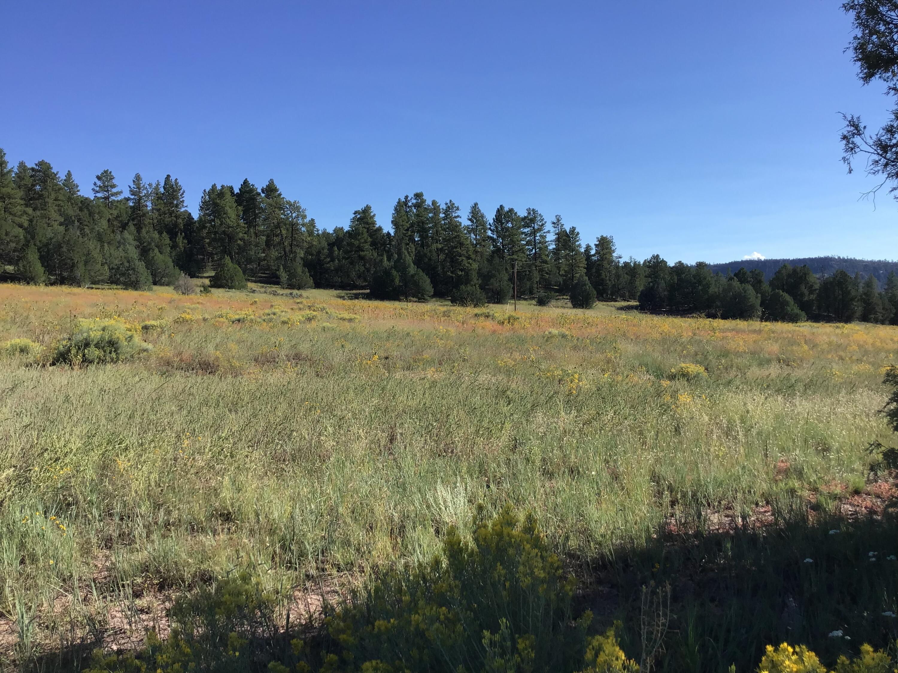 Photo 18 — Lot 14 E Elk Drive
