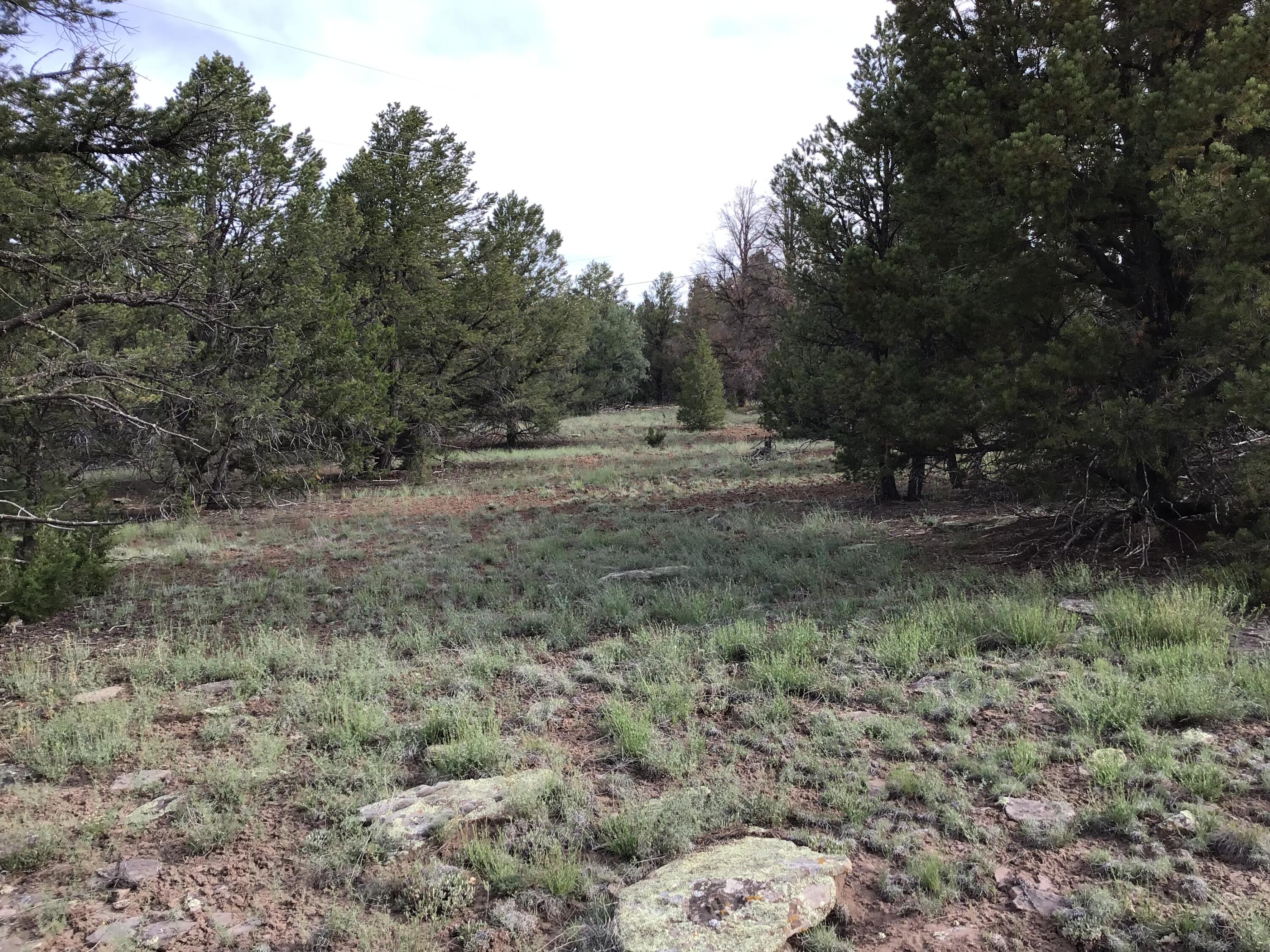 Photo 20 — Lot 6 Sunflower Drive