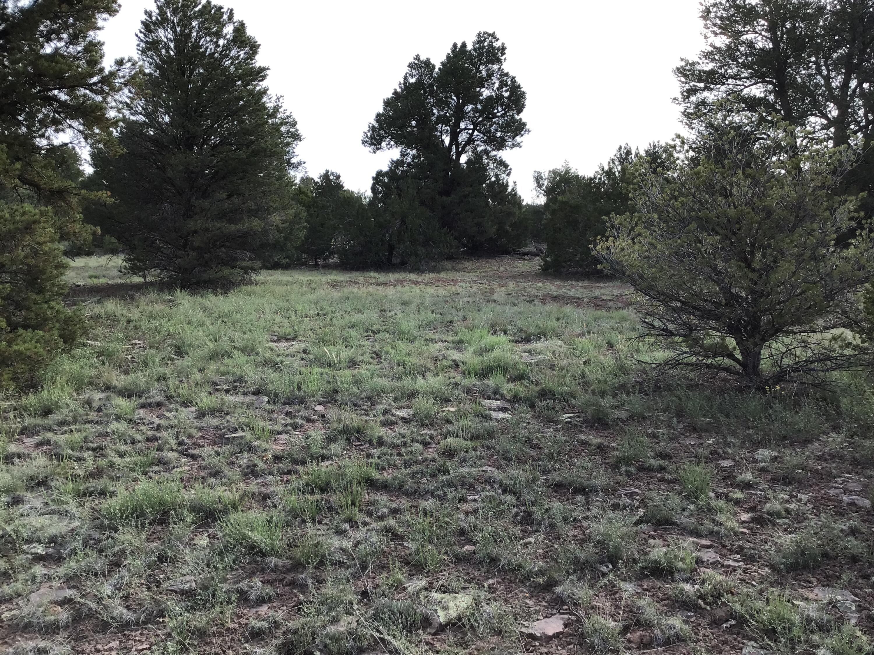 Photo 19 — Lot 6 Sunflower Drive