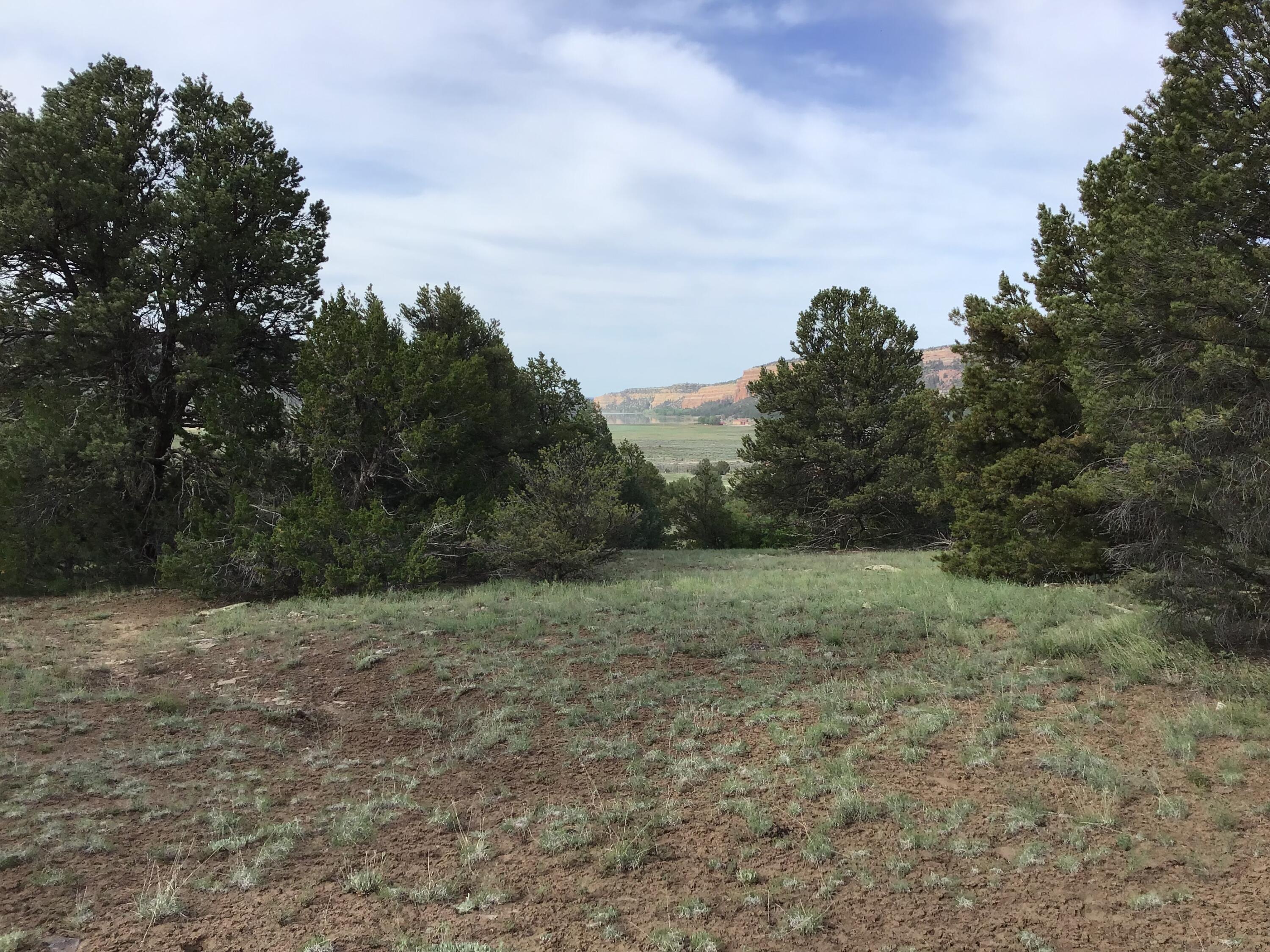 Photo 18 — Lot 6 Sunflower Drive