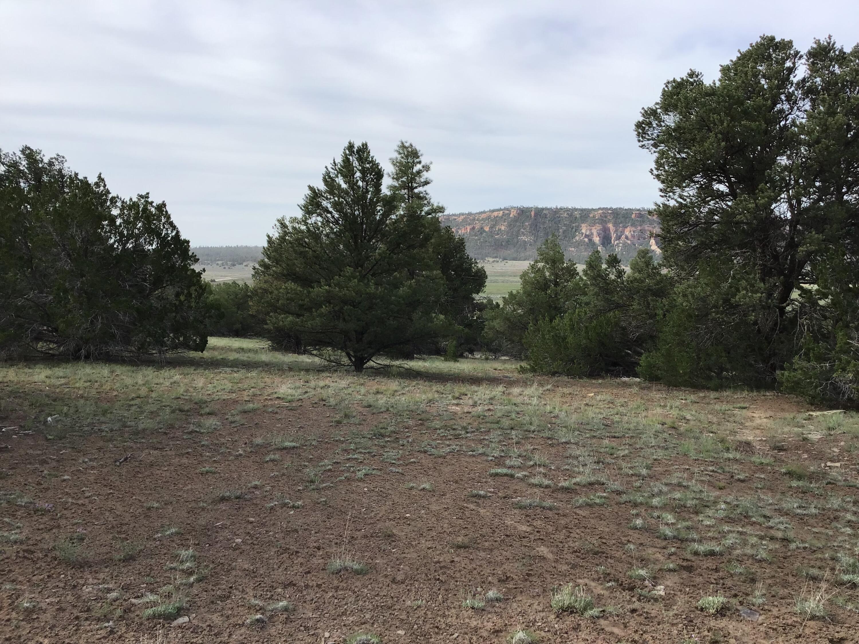 Photo 17 — Lot 6 Sunflower Drive