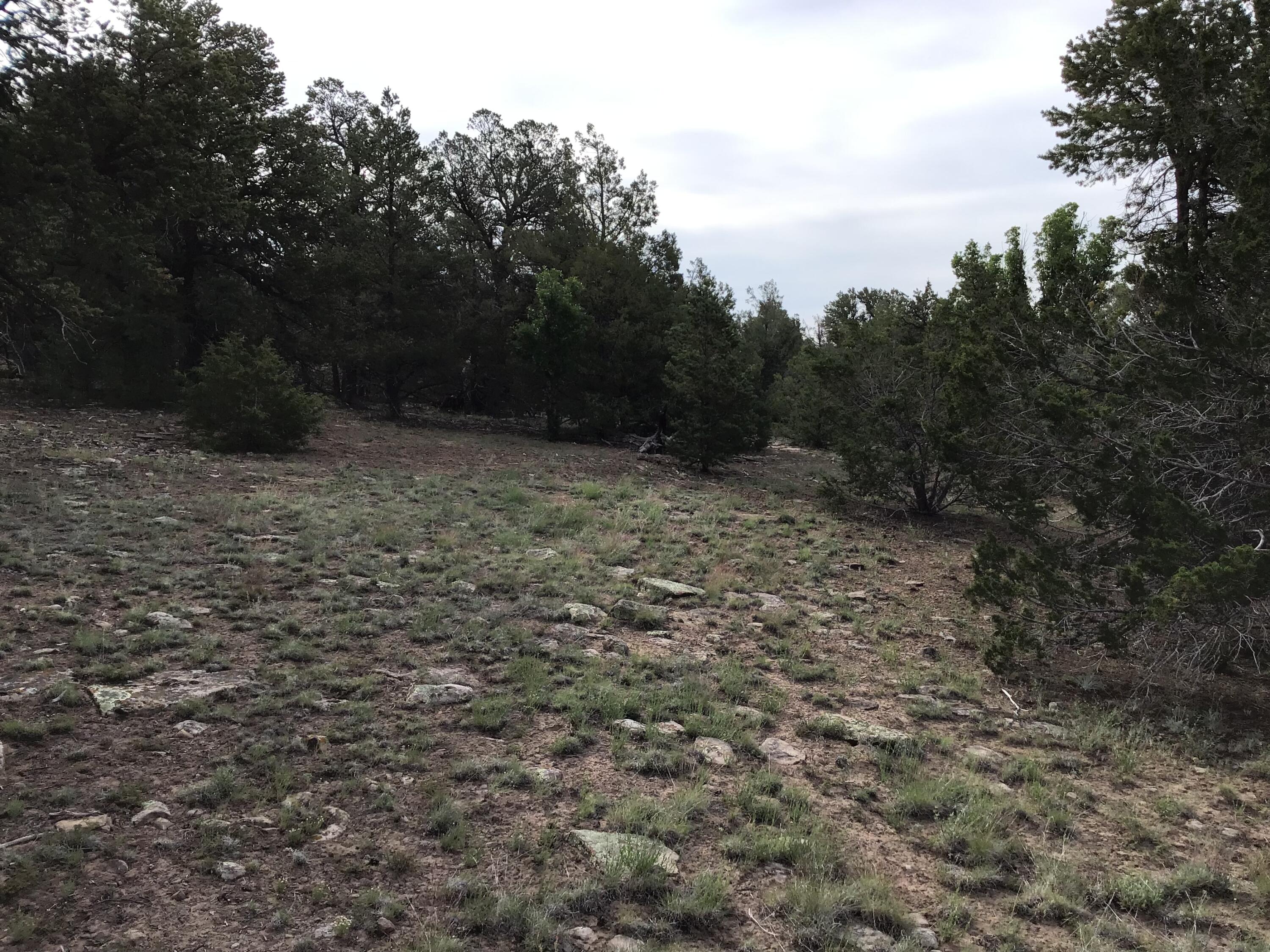 Photo 16 — Lot 6 Sunflower Drive