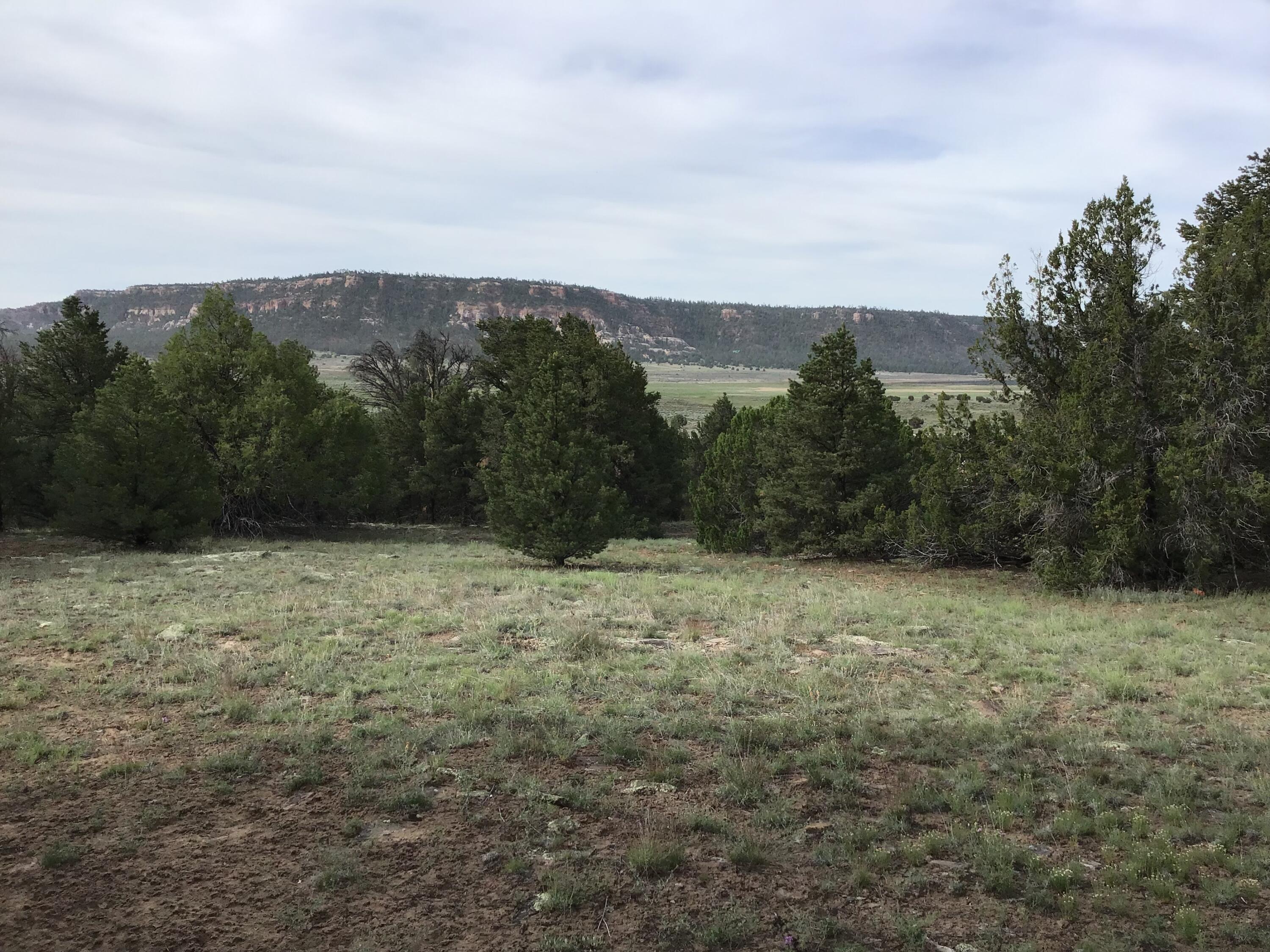 Photo 15 — Lot 6 Sunflower Drive