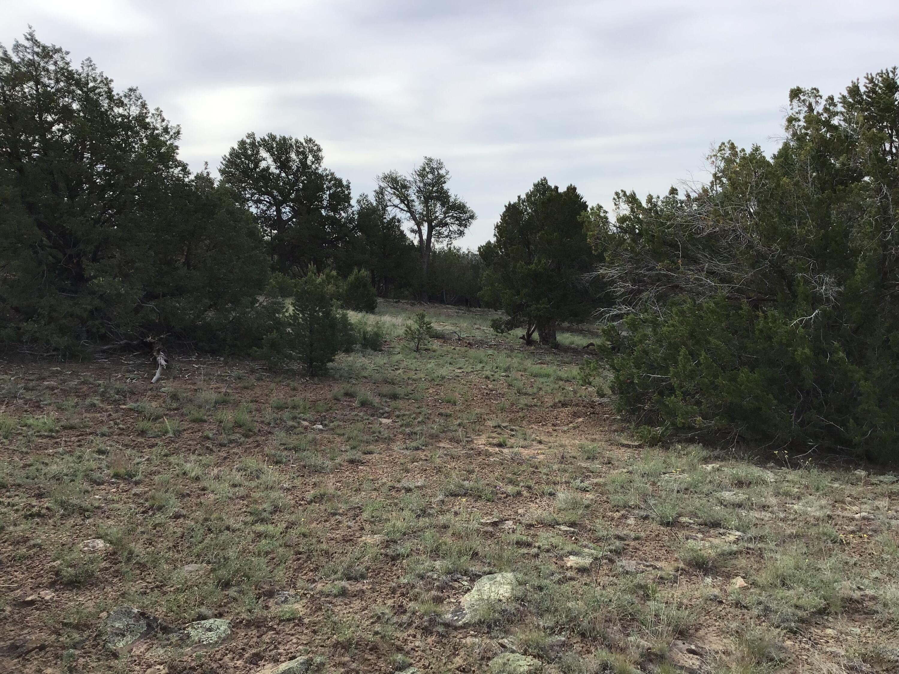 Photo 14 — Lot 6 Sunflower Drive