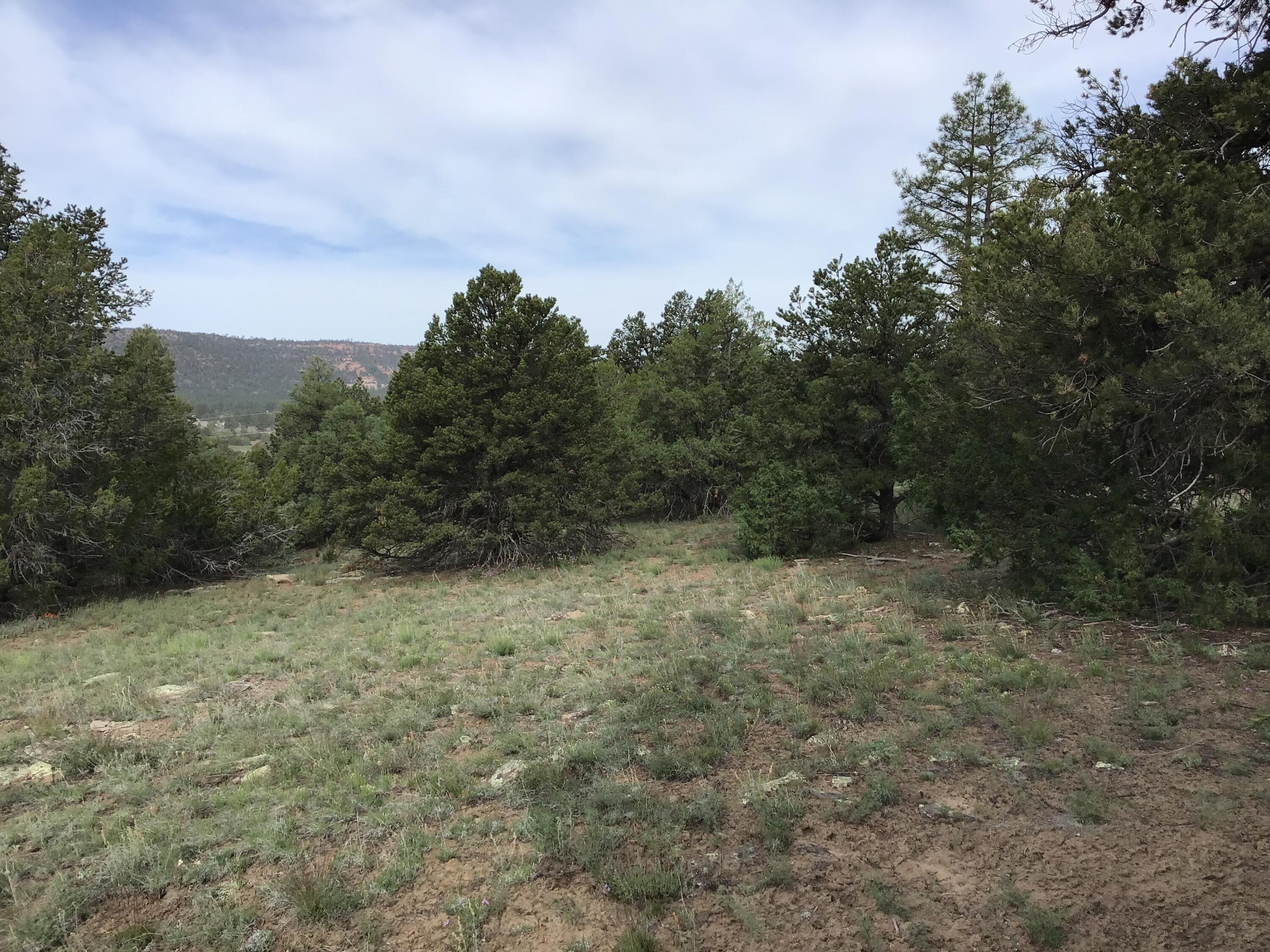 Photo 13 — Lot 6 Sunflower Drive