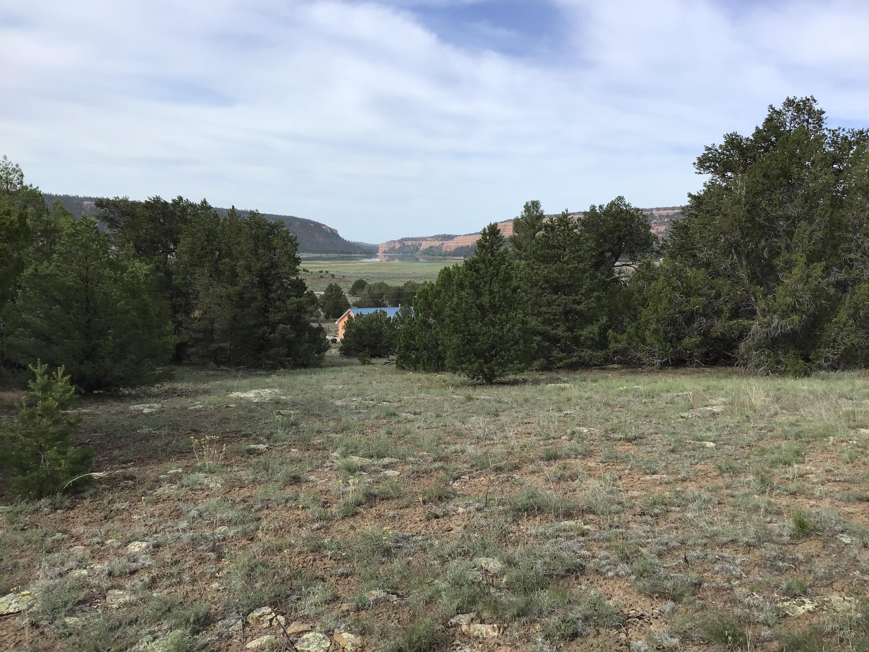 Photo 12 — Lot 6 Sunflower Drive