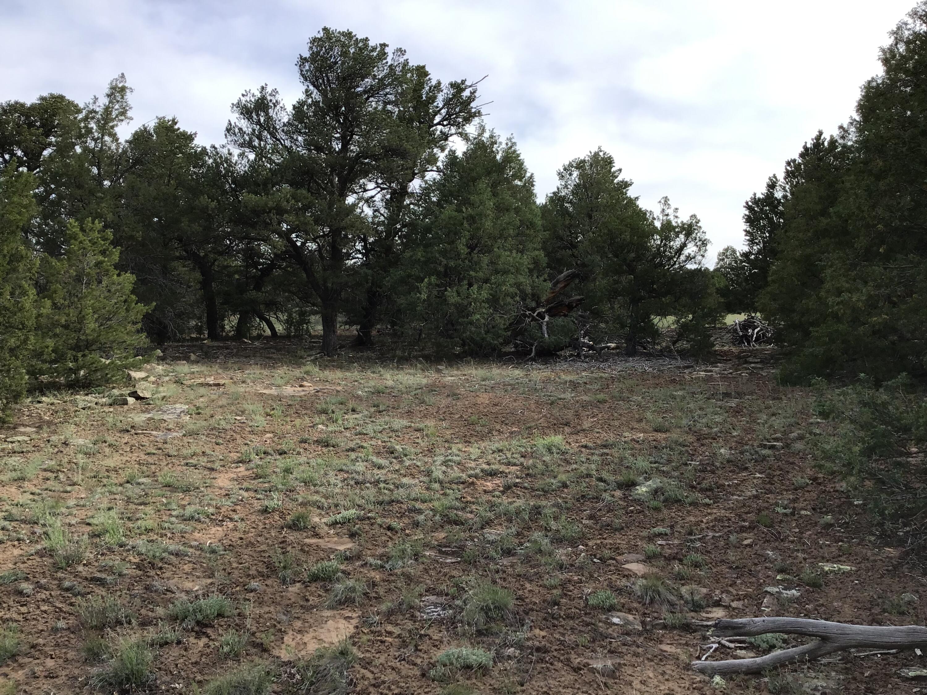 Photo 11 — Lot 6 Sunflower Drive