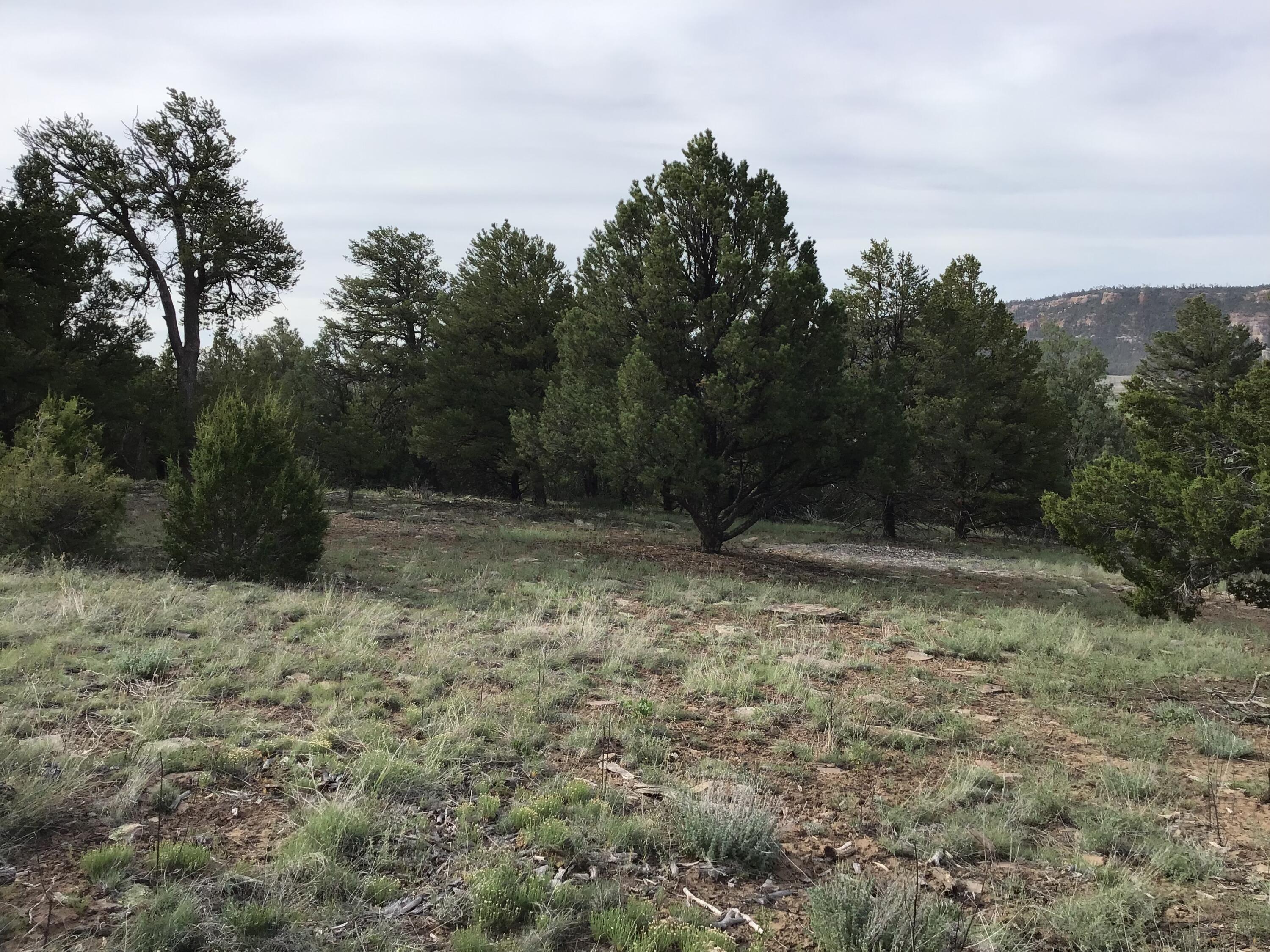 Photo 10 — Lot 6 Sunflower Drive