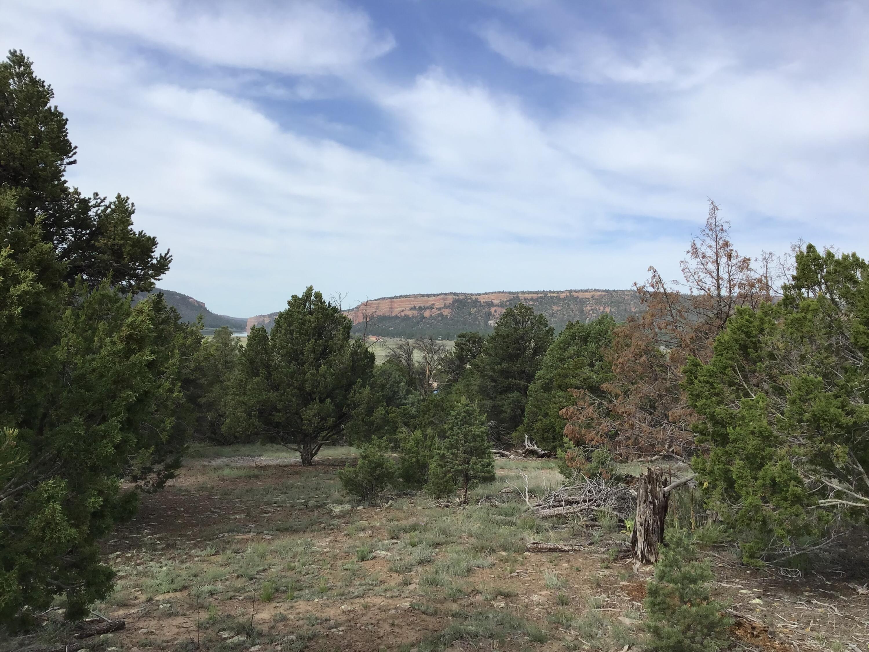 Photo 9 — Lot 6 Sunflower Drive