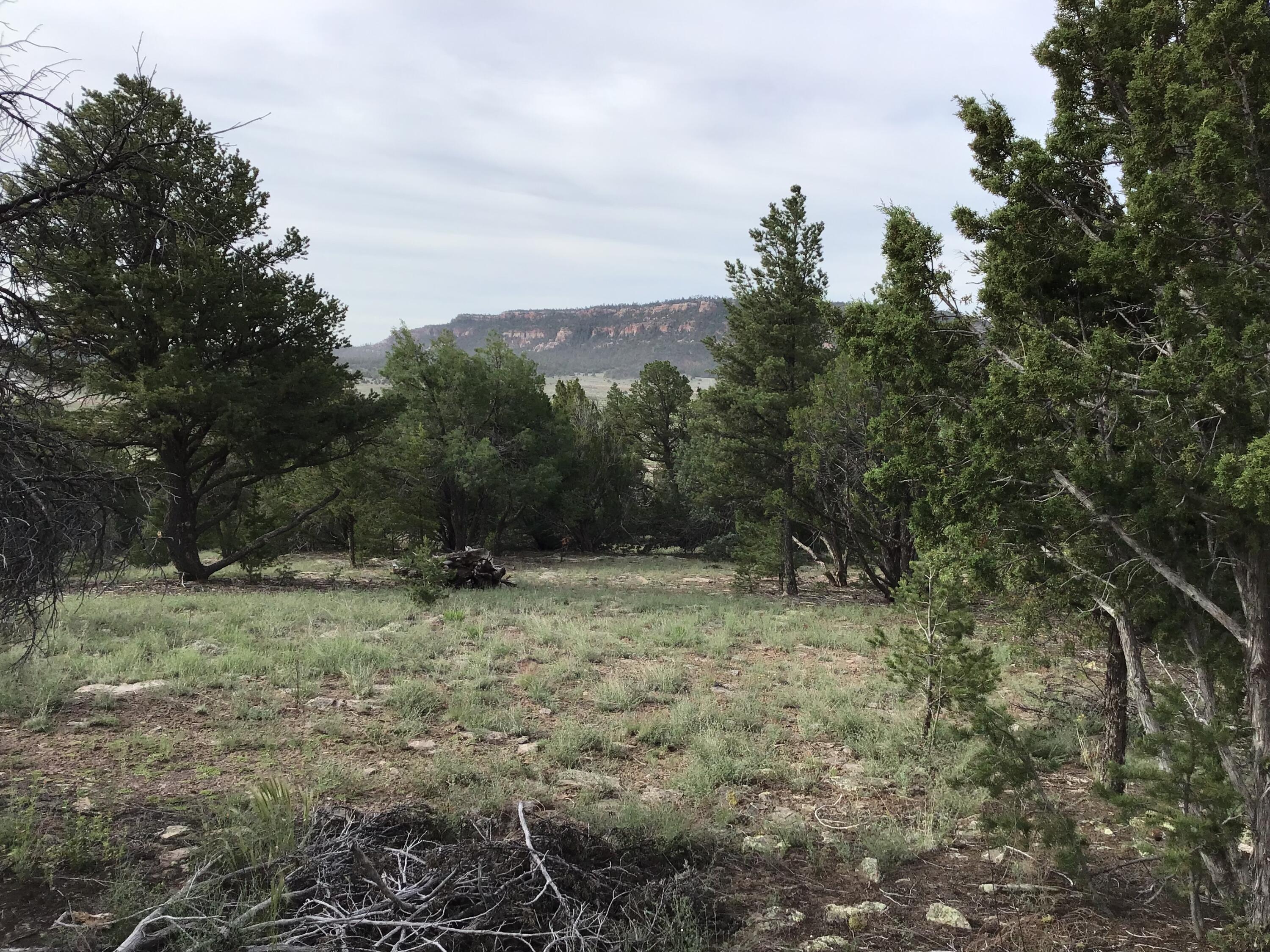 Photo 8 — Lot 6 Sunflower Drive