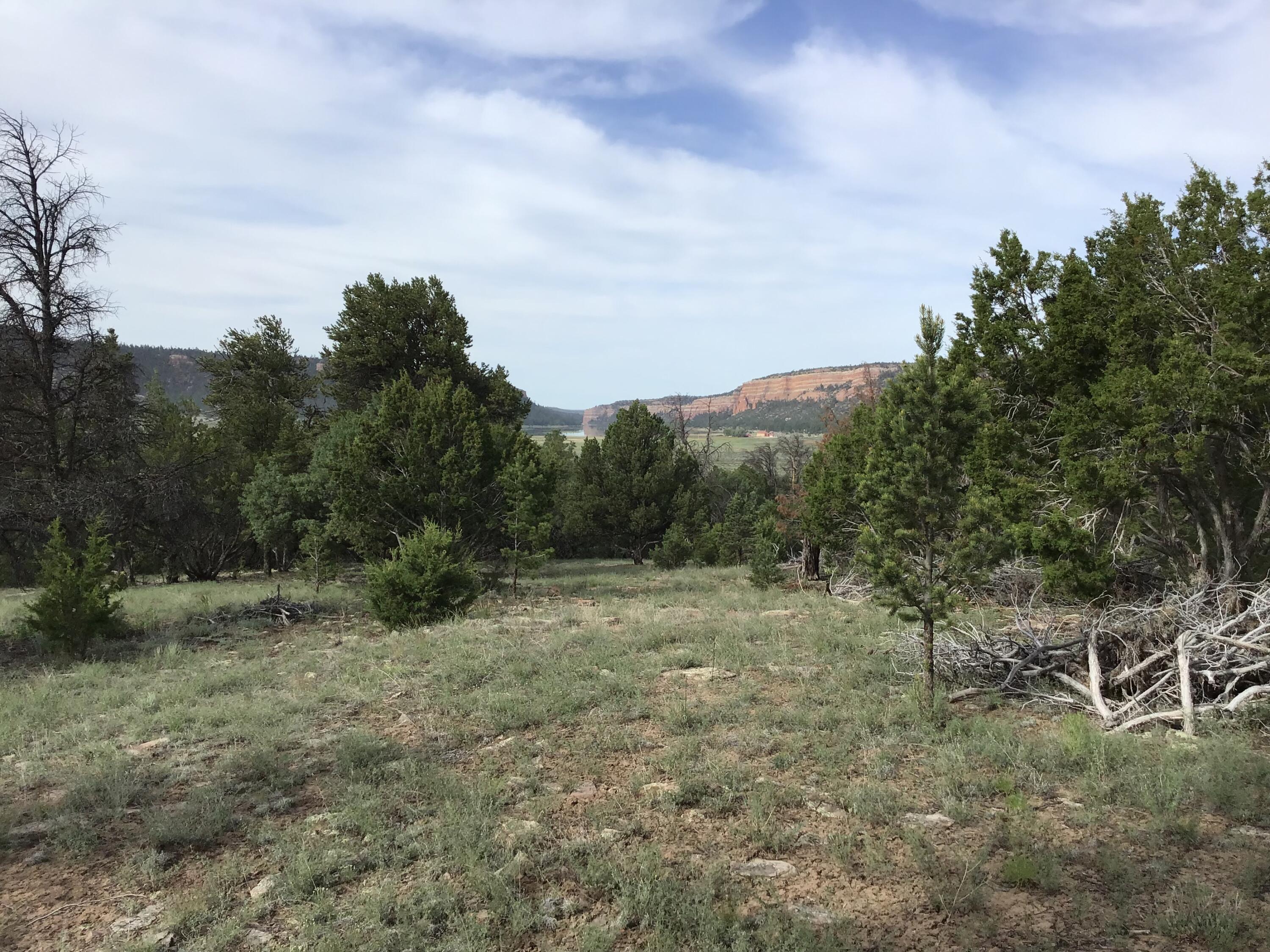 Photo 7 — Lot 6 Sunflower Drive