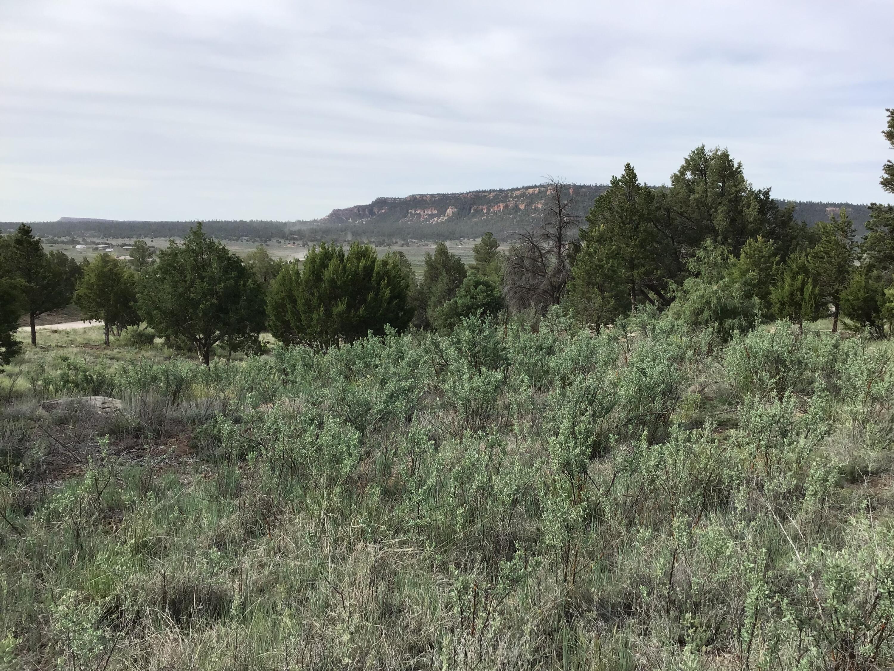 Photo 6 — Lot 6 Sunflower Drive
