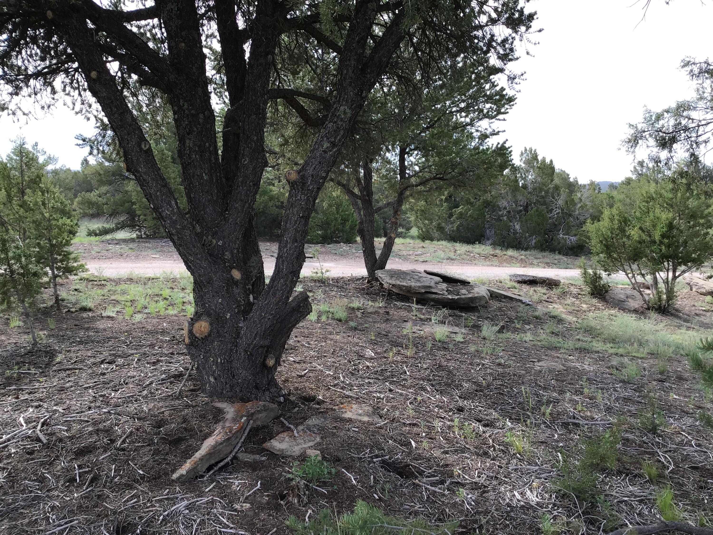 Photo 5 — Lot 6 Sunflower Drive