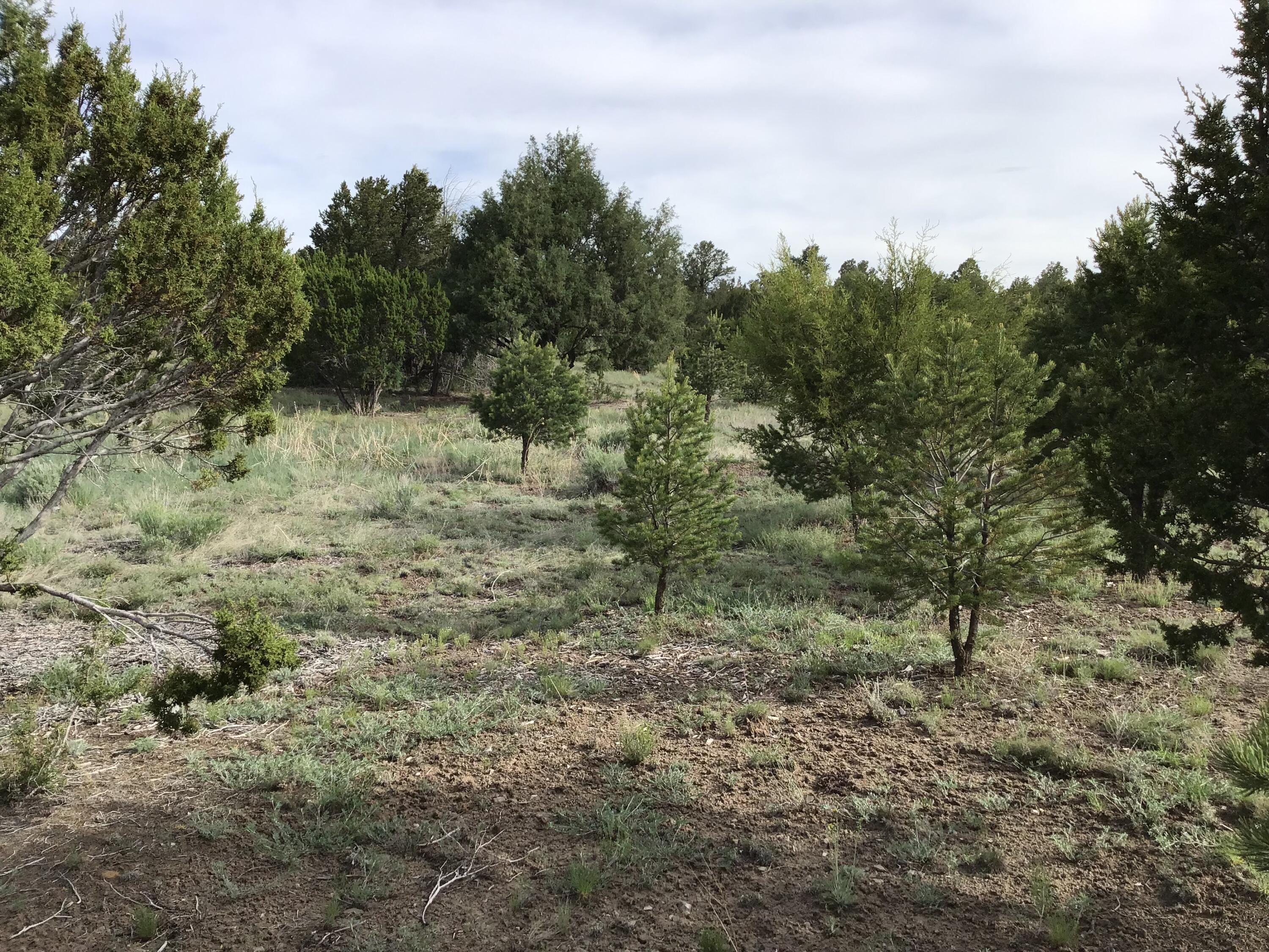 Photo 4 — Lot 6 Sunflower Drive