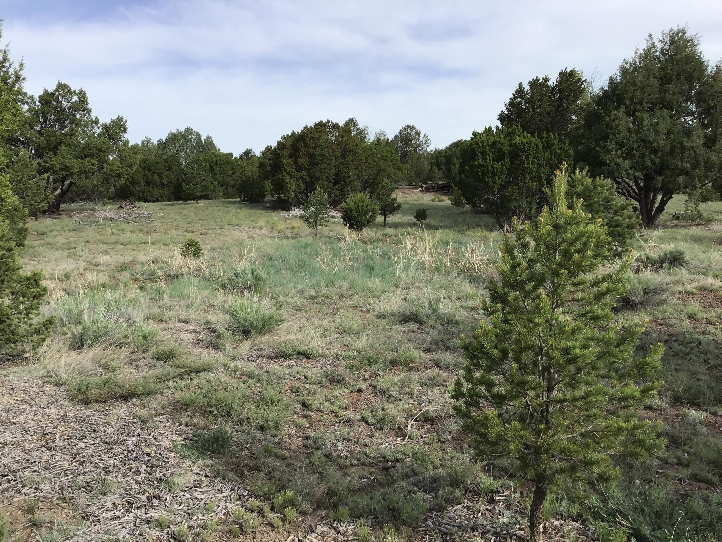 Photo 3 — Lot 6 Sunflower Drive