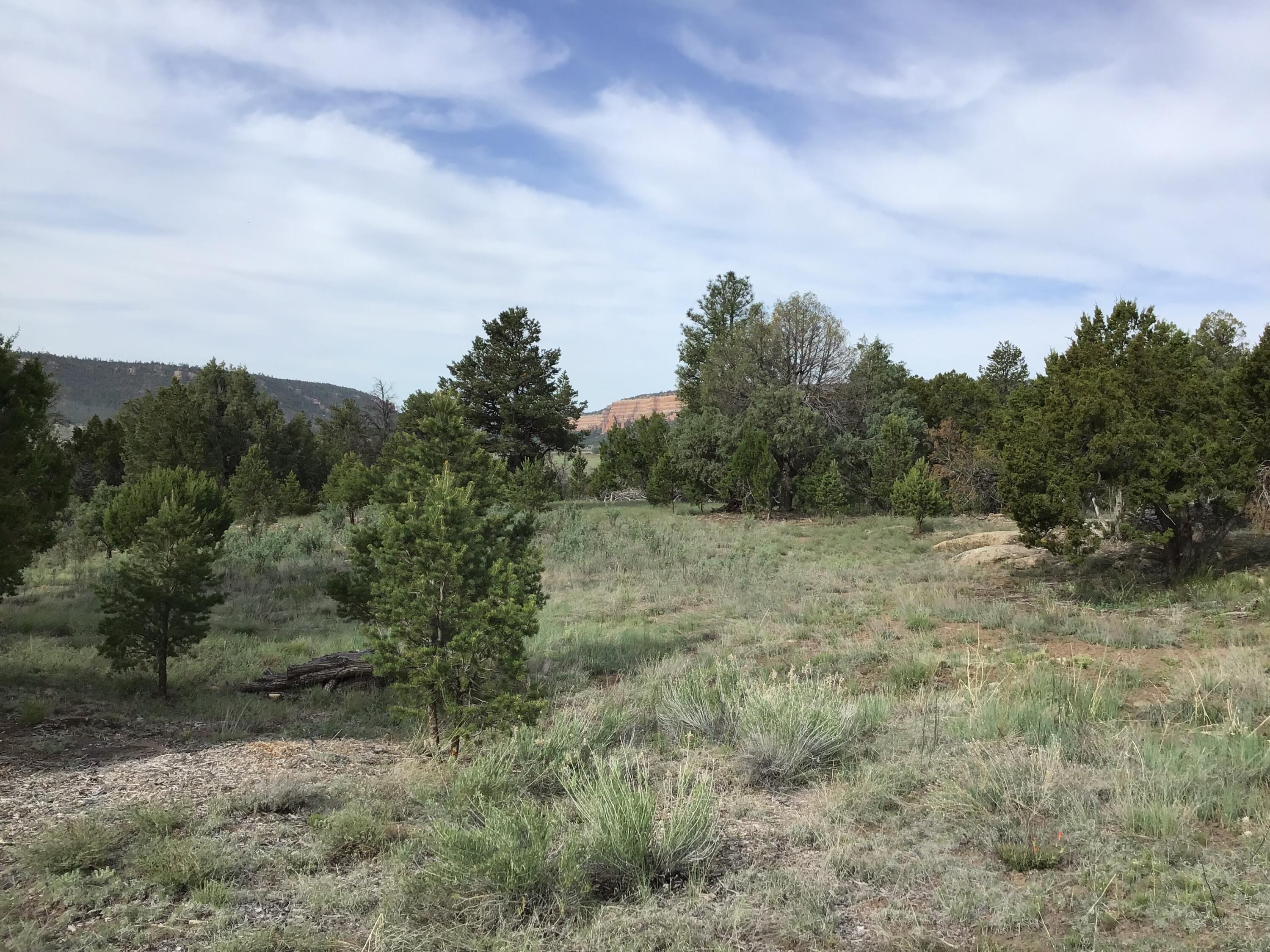 Photo 2 — Lot 6 Sunflower Drive