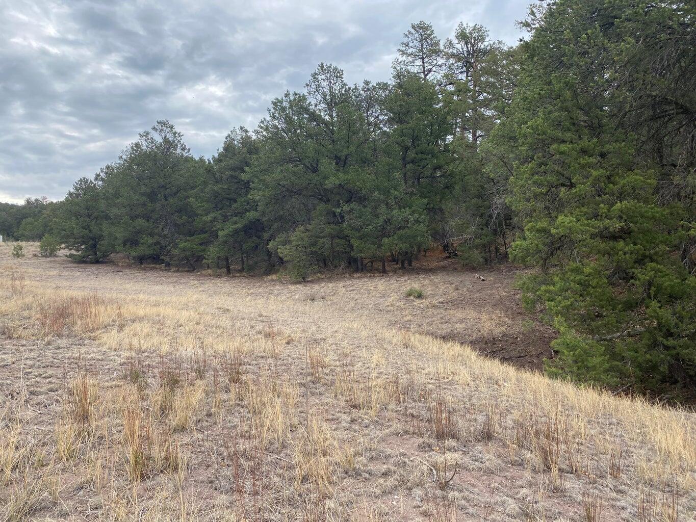 Photo 18 — Lot 23 Sunflower Drive