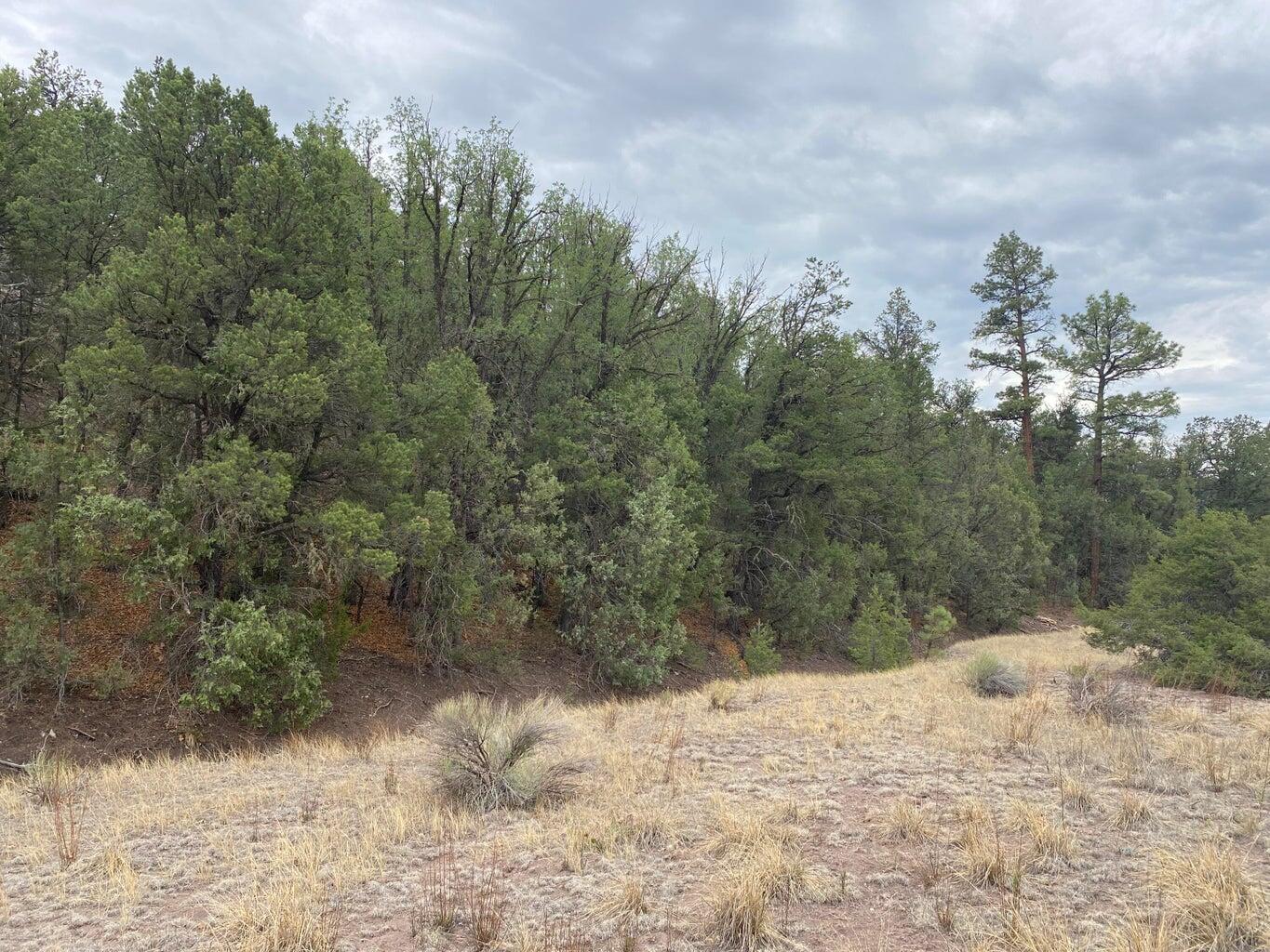 Photo 20 — Lot 23 Sunflower Drive
