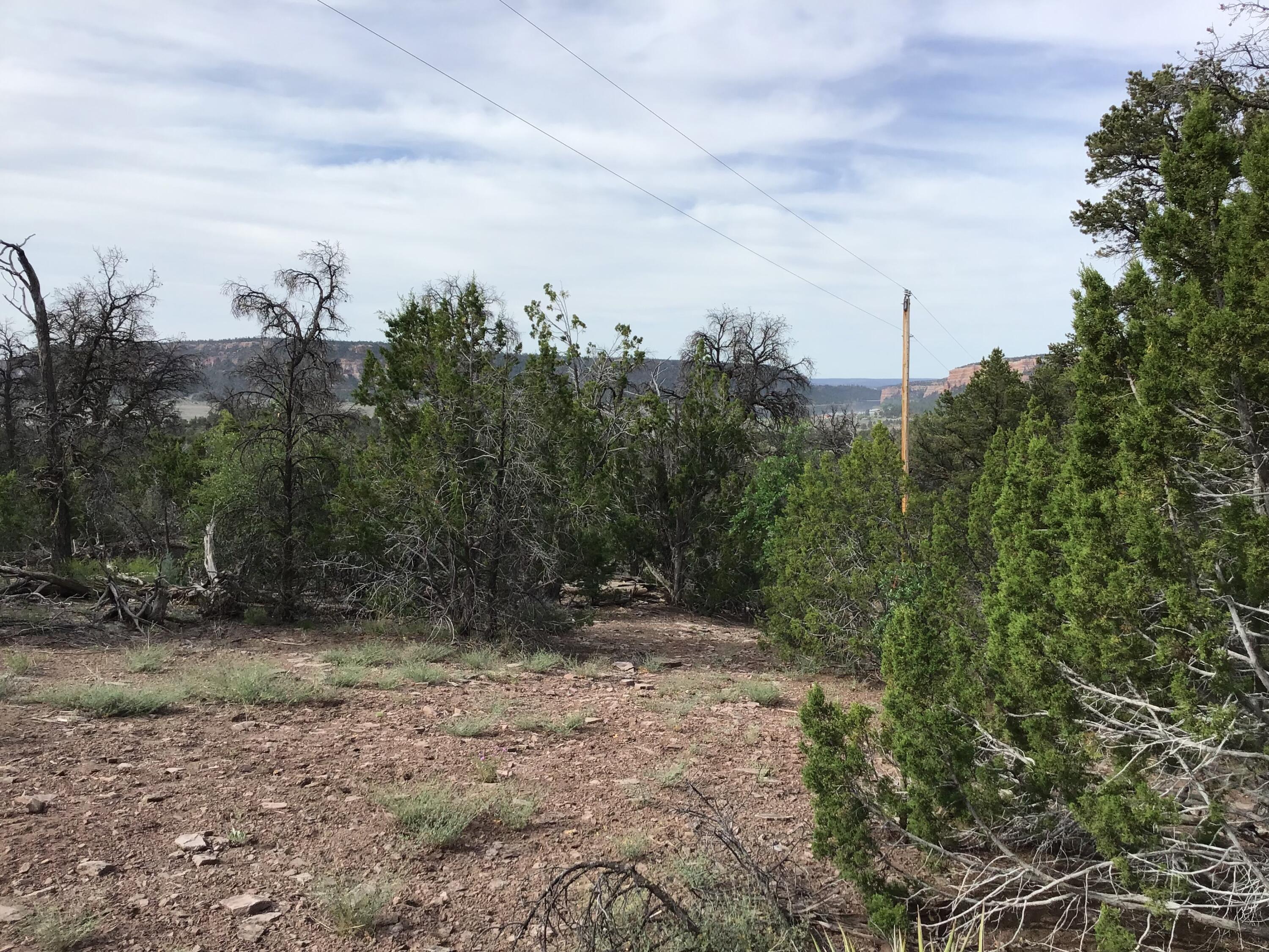 Photo 2 — Lot 23 Sunflower Drive