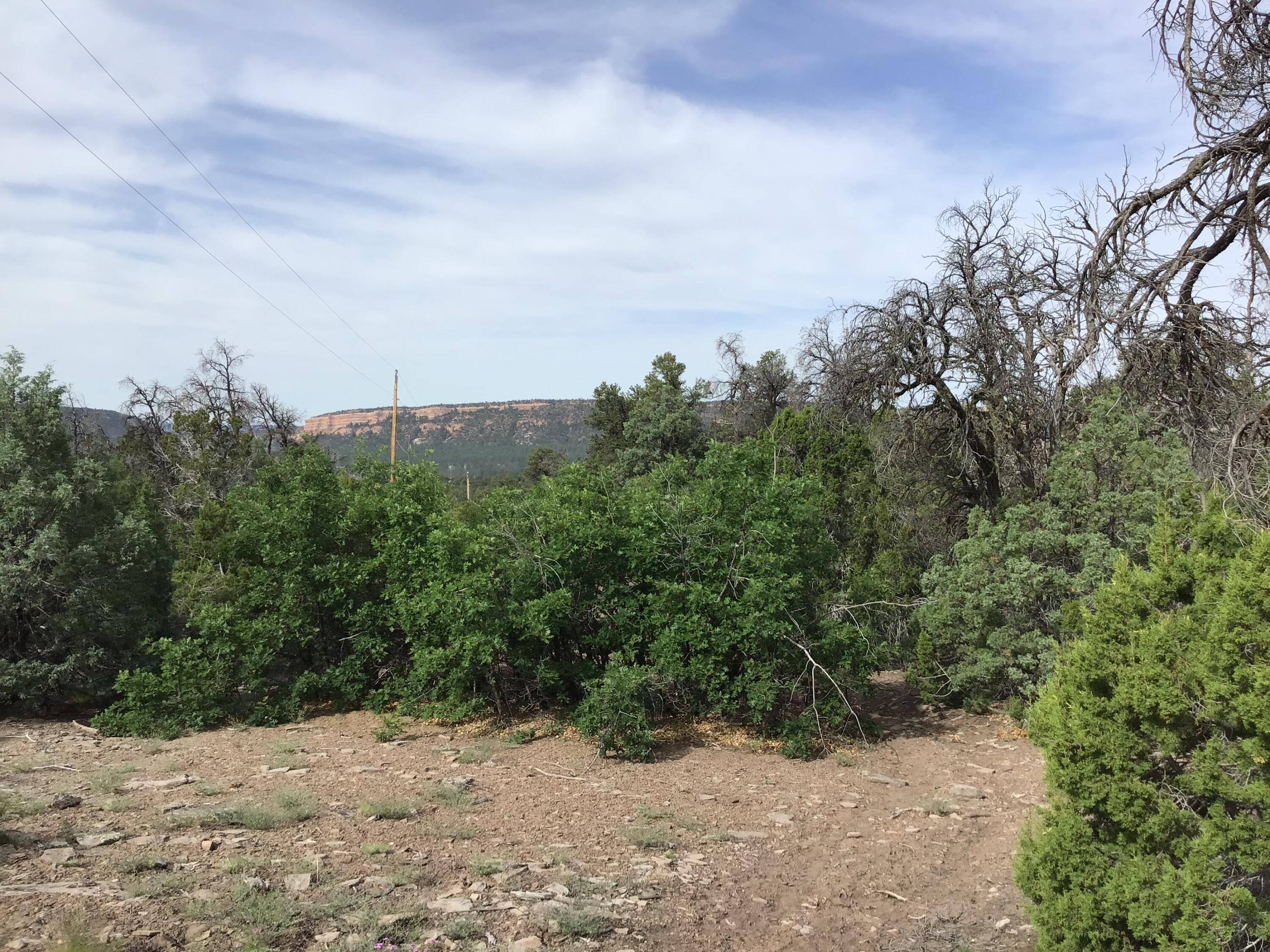 Photo 3 — Lot 23 Sunflower Drive