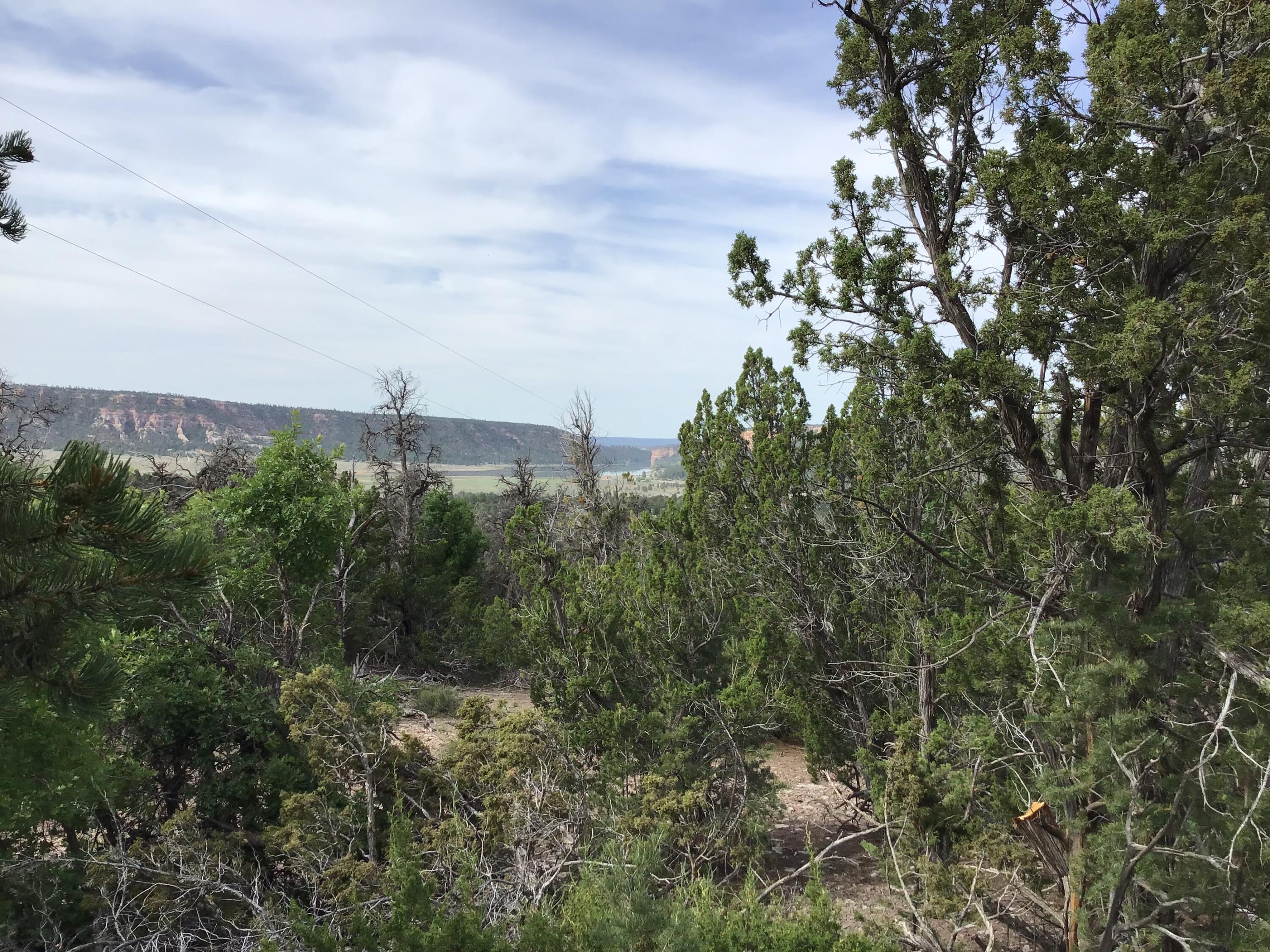Photo 5 — Lot 23 Sunflower Drive